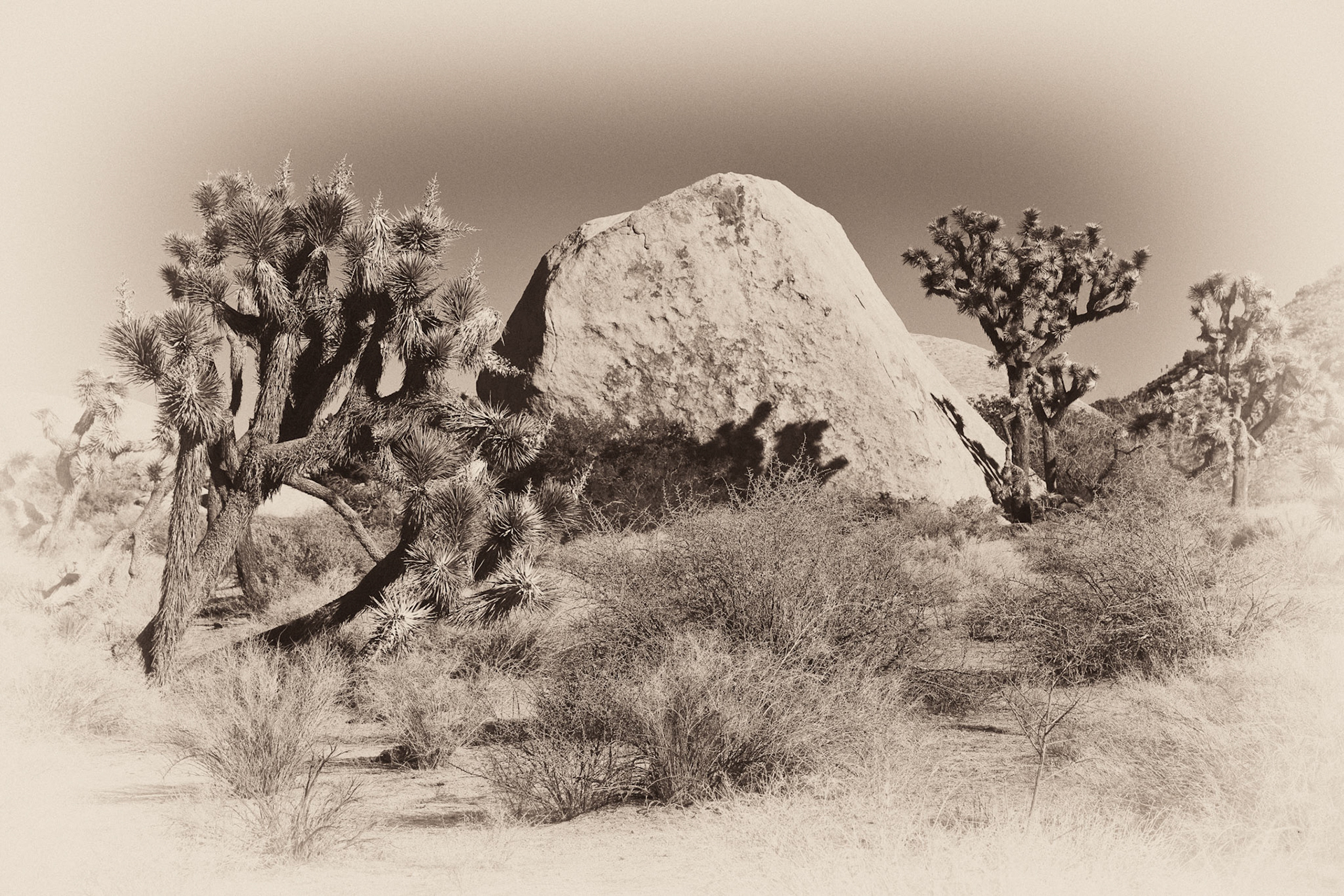 Black &amp; White 00098