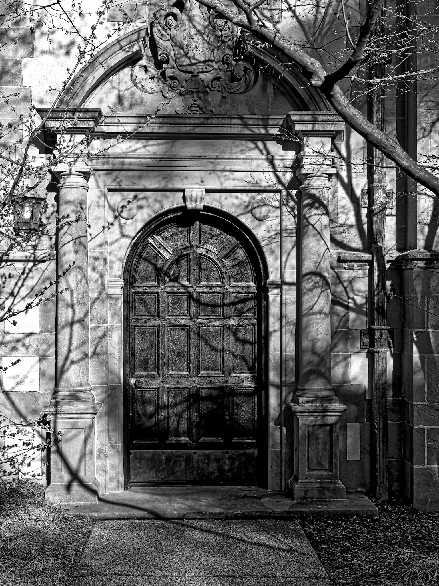 Black &amp; White 00034