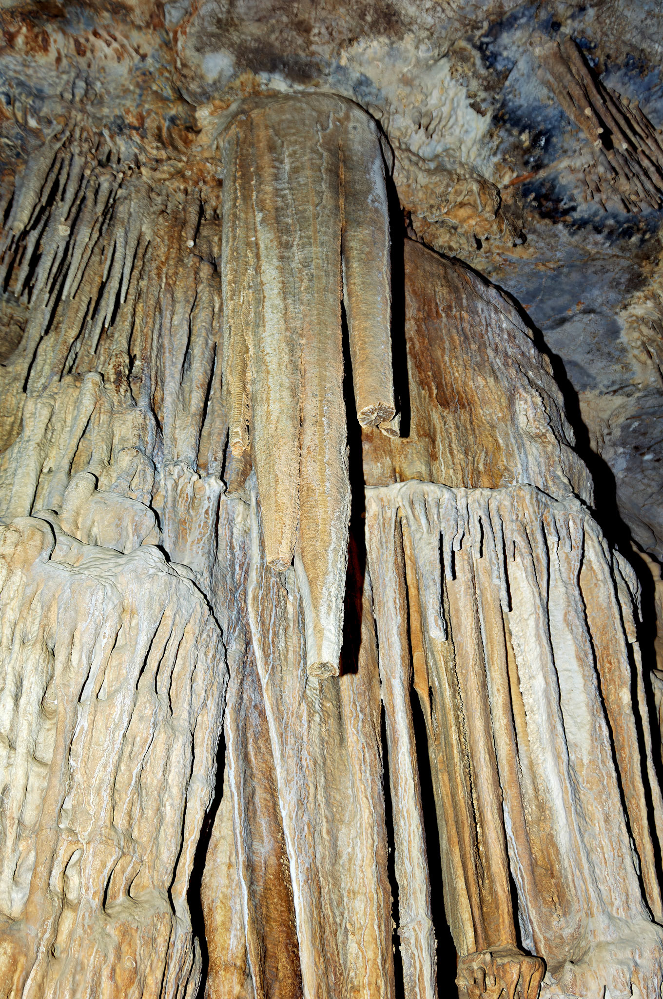 CA_20050614_0104_PS.dng