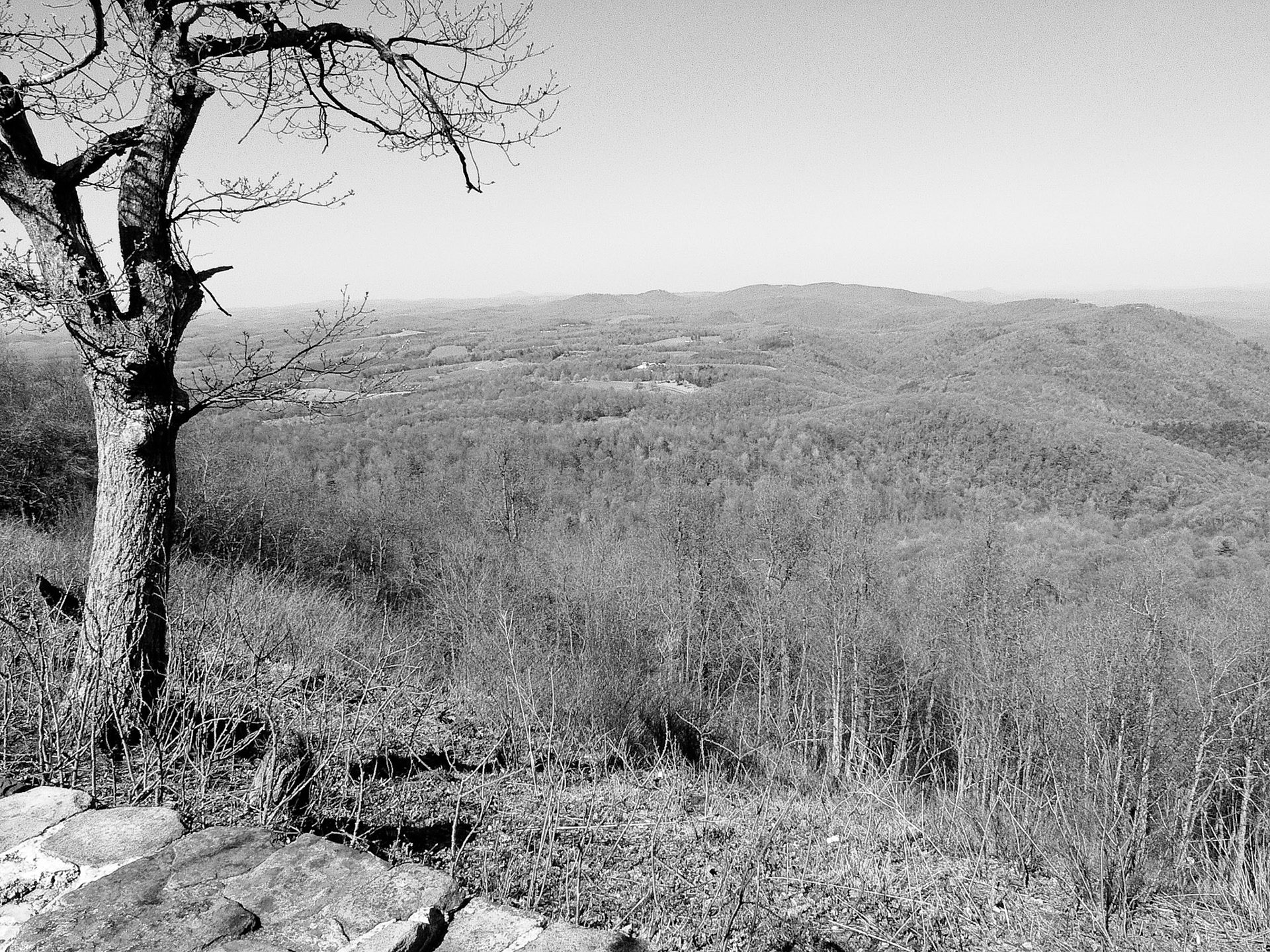 Black &amp; White 00039