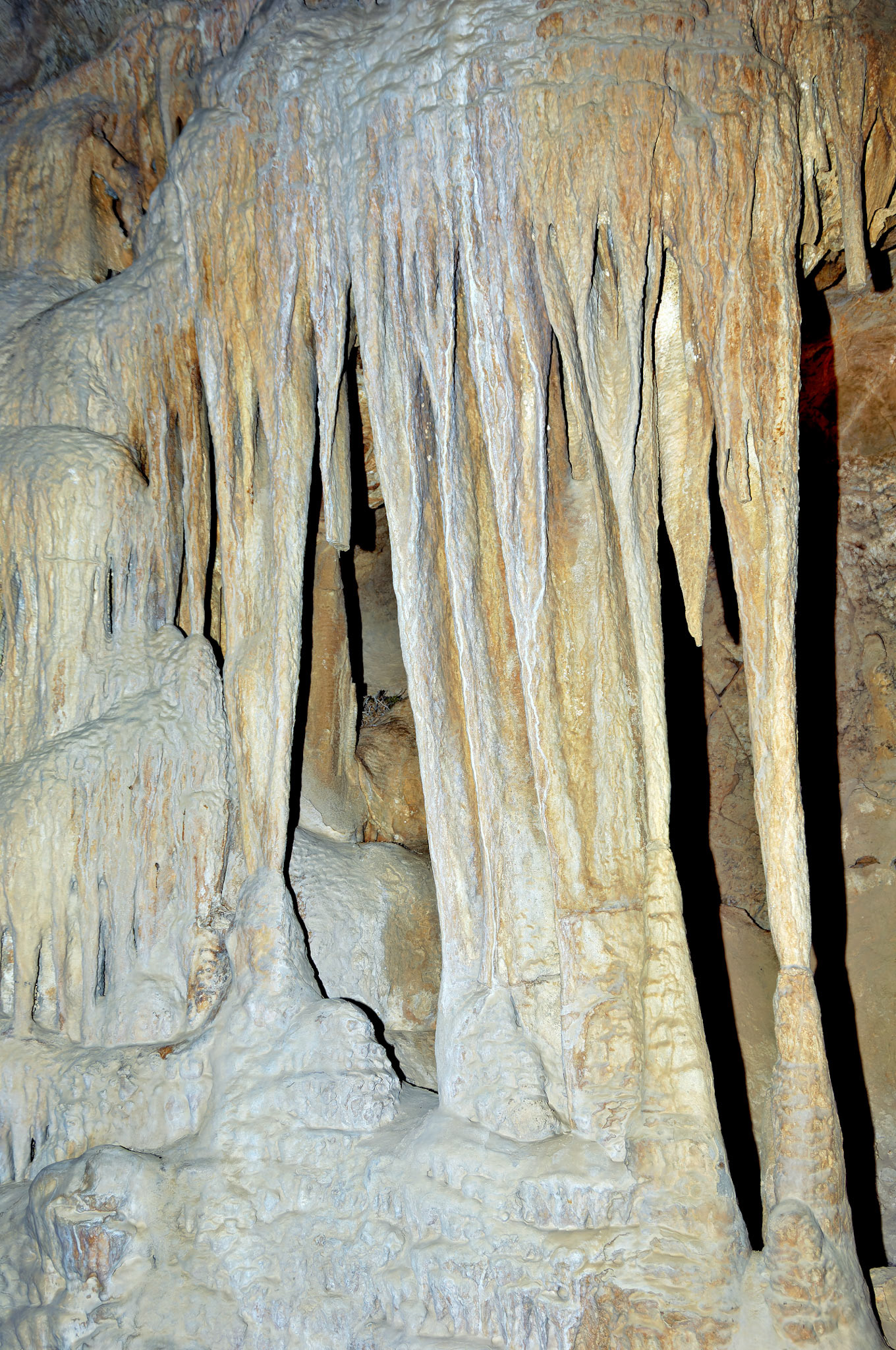 CA_20050614_0106_PS.dng