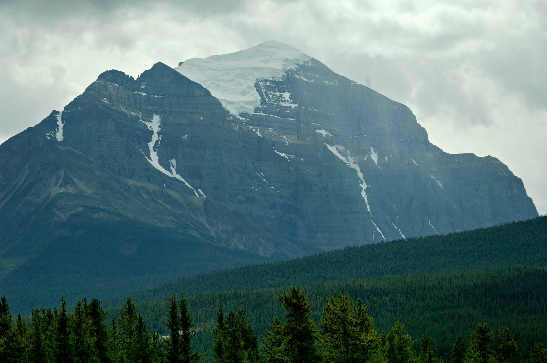 CN_20060803_0602_PS.dng
