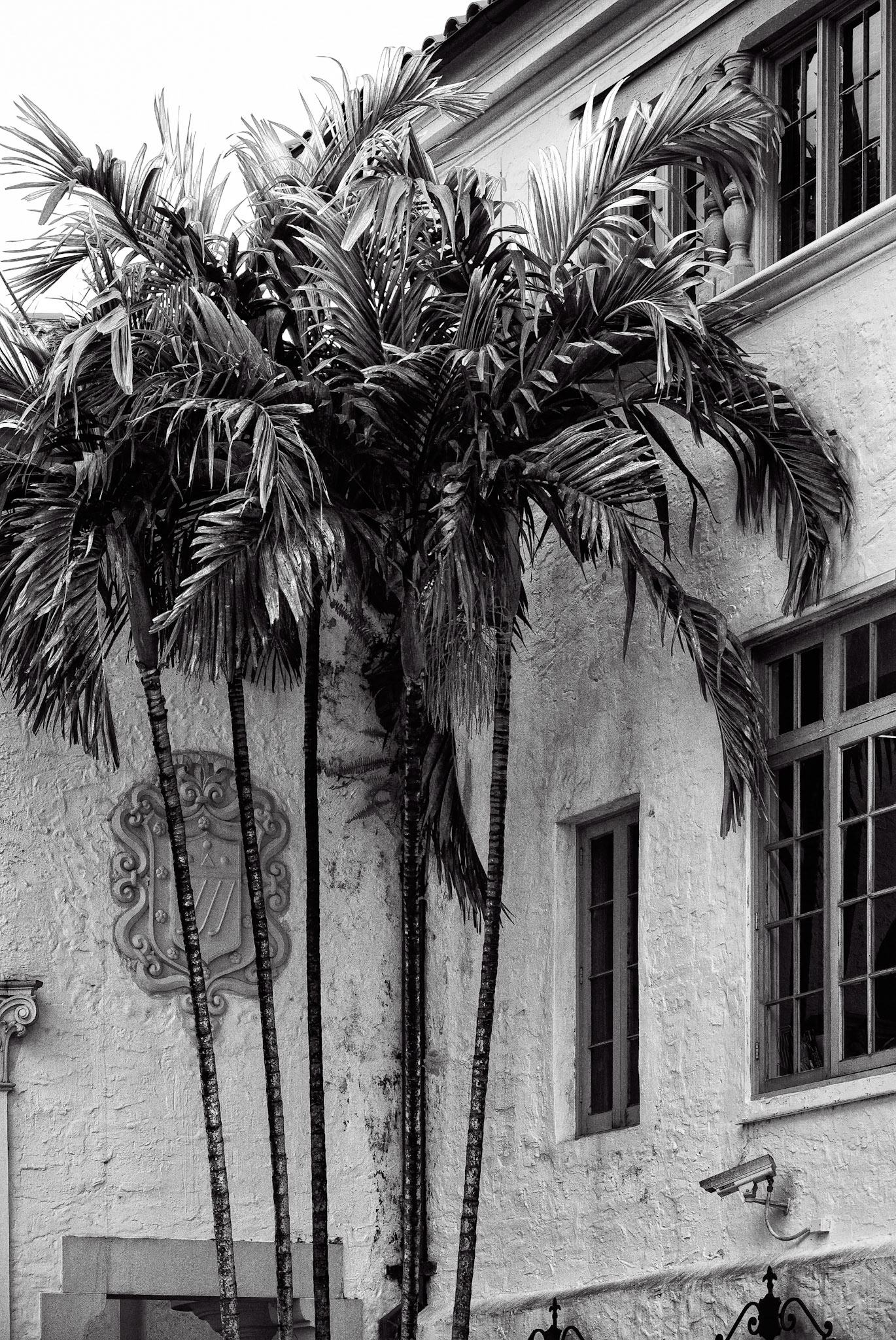 Black &amp; White 00204