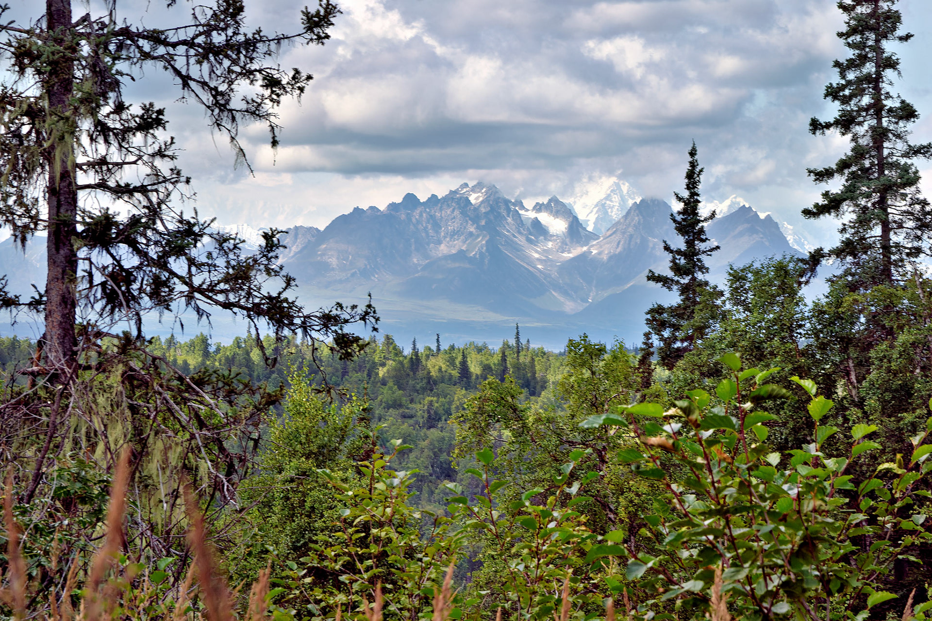 AK_20030805_0623_PS.dng