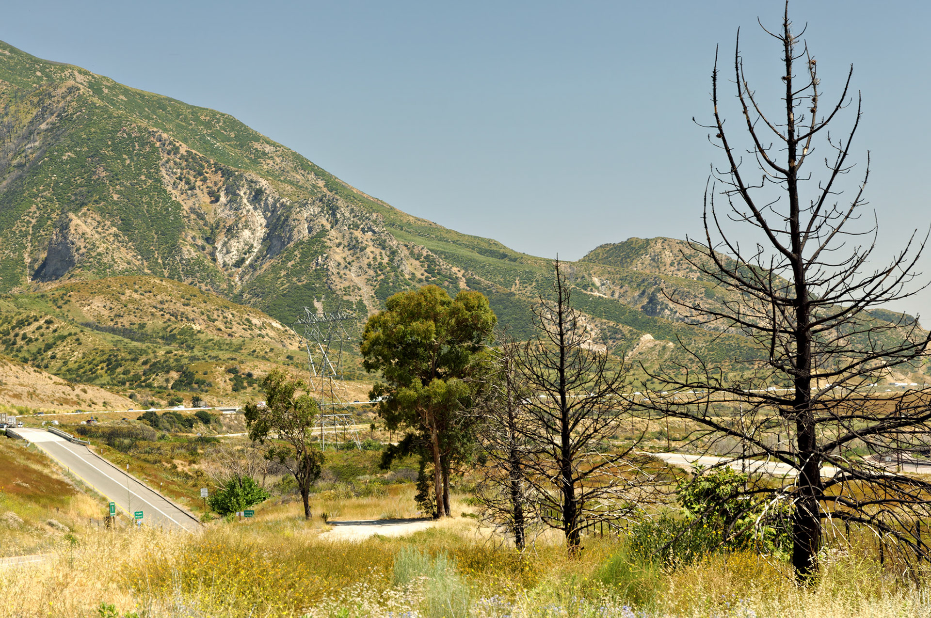 CA_20050613_0020_PS.dng