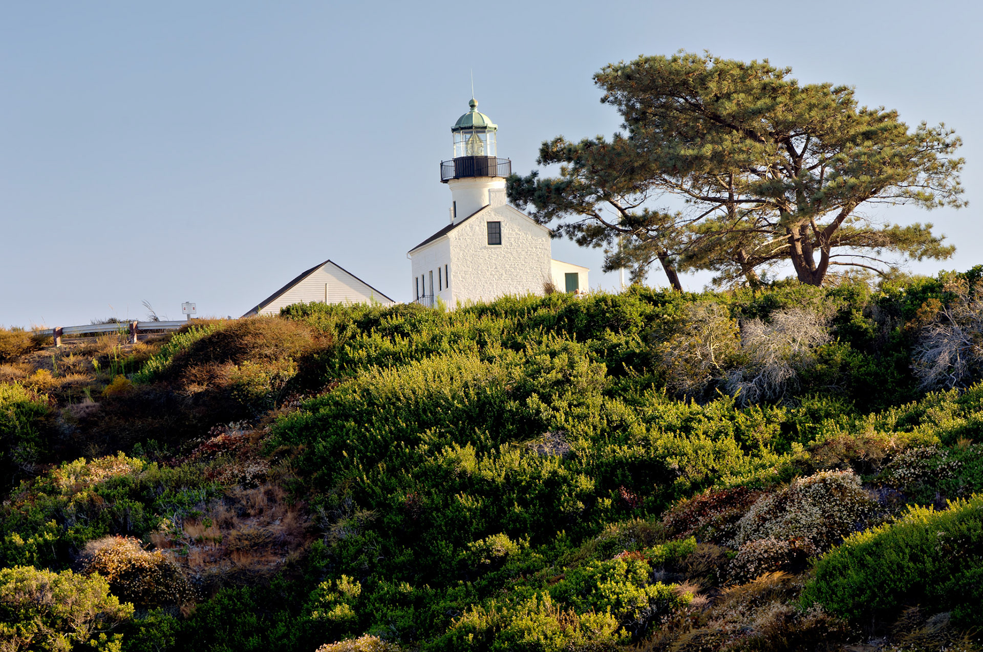 CA_SanDiego_20050728_0097_PS.dng