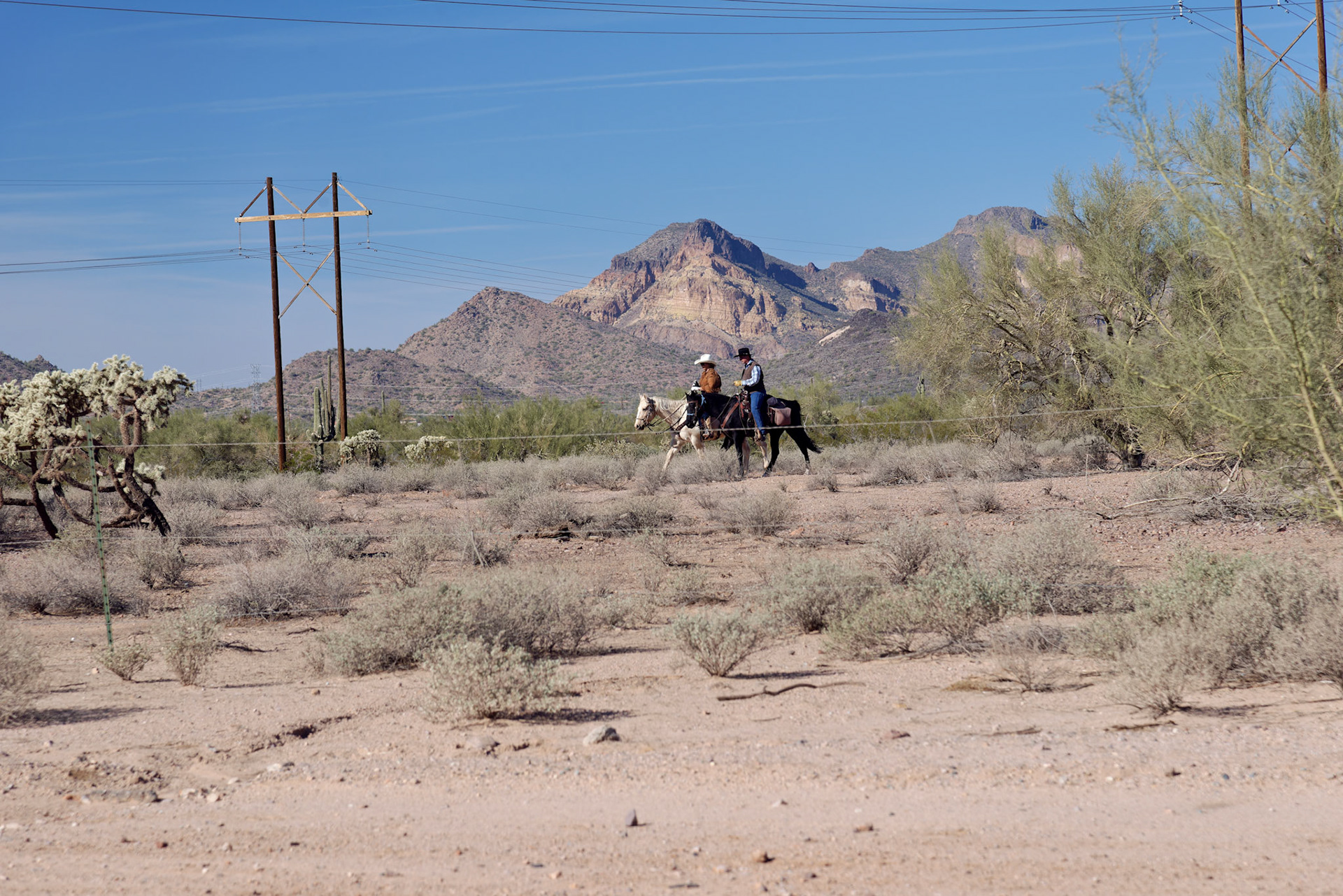 AZ_20121209_0301_PS.dng