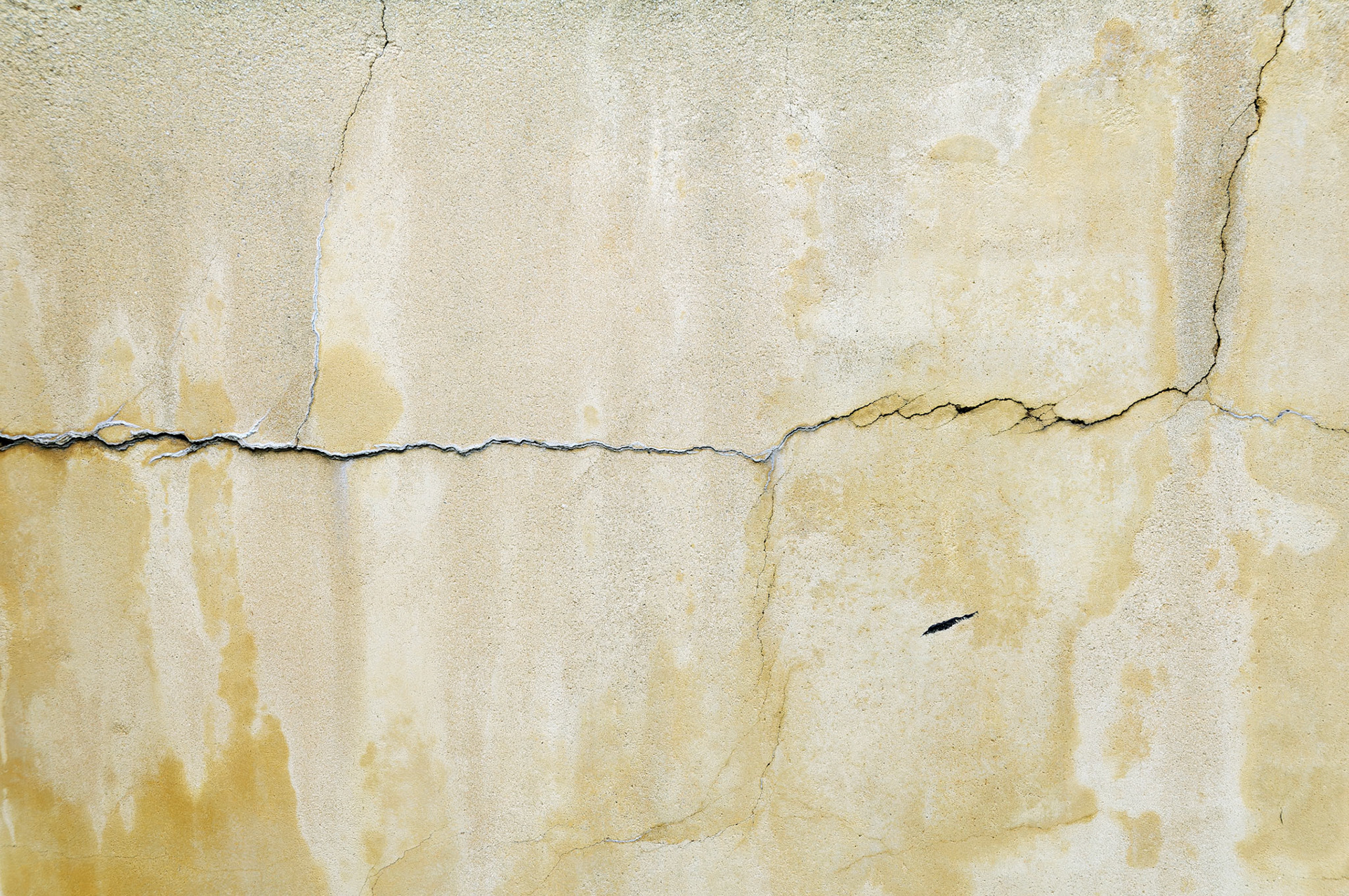 PA_GroundsForSculpture_20080814_0143_PS.dng