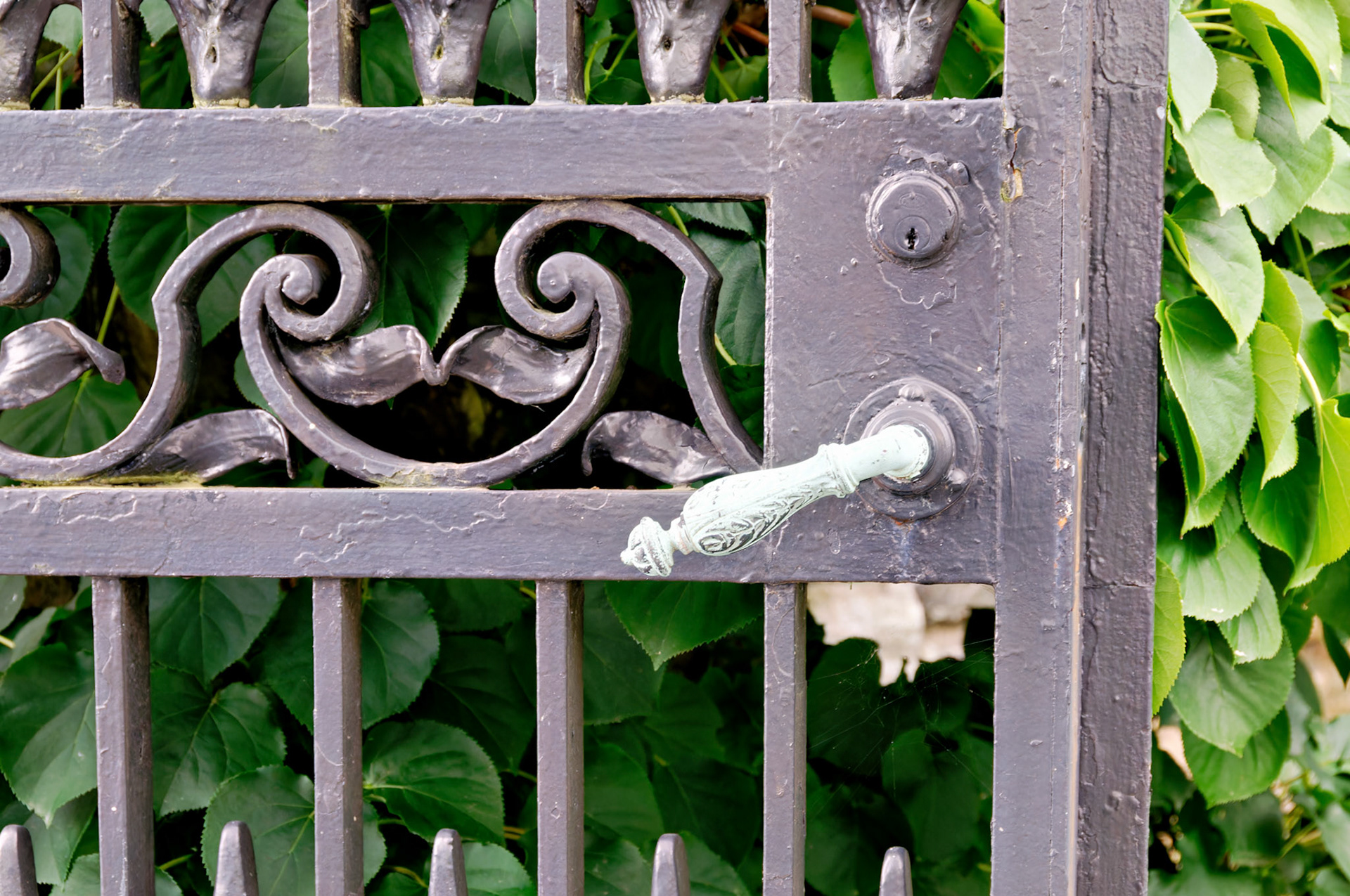 PA_GroundsForSculpture_20080815_0156_PS.dng