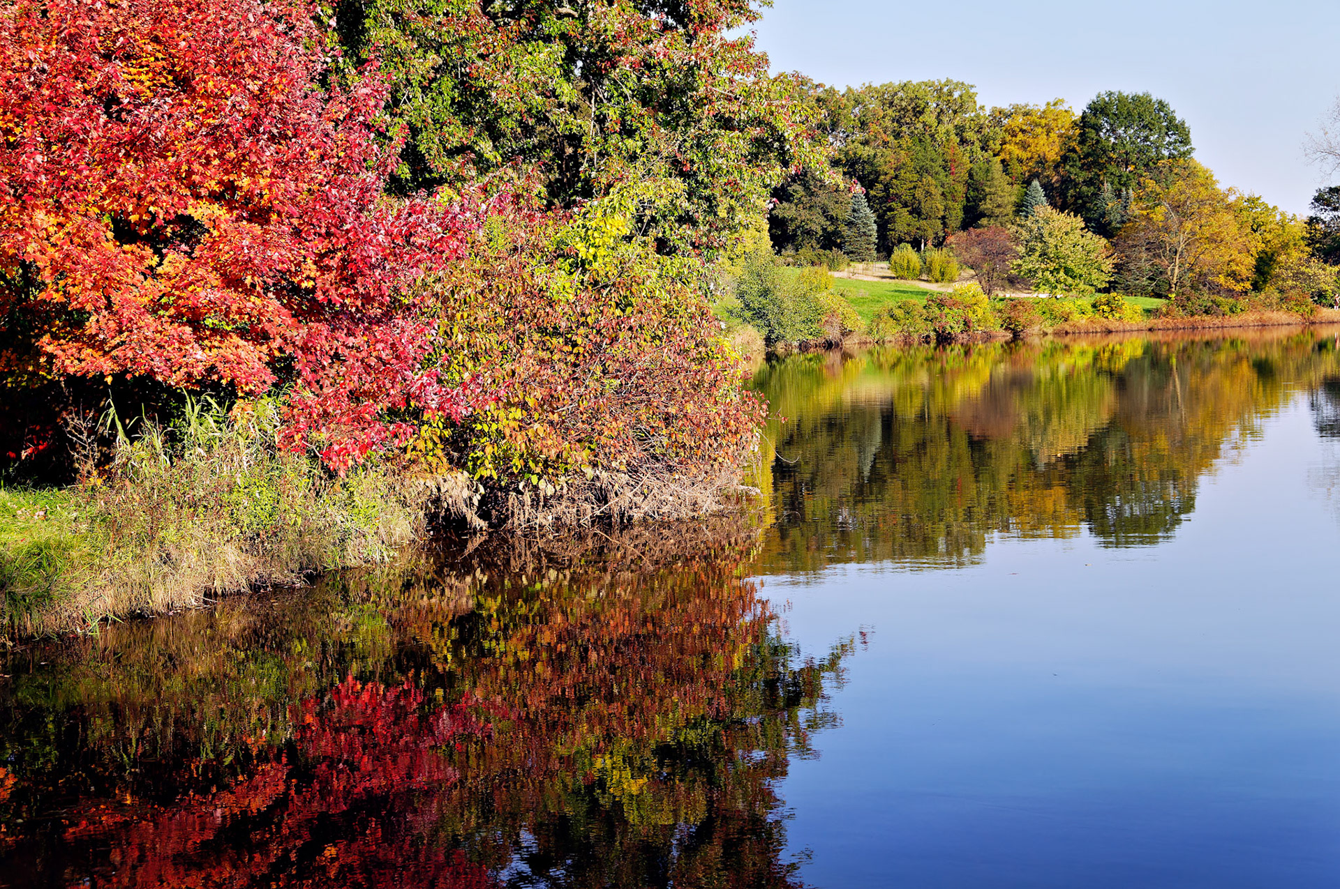 IL_Morton Arboretum_20081011_0324_PS.tif