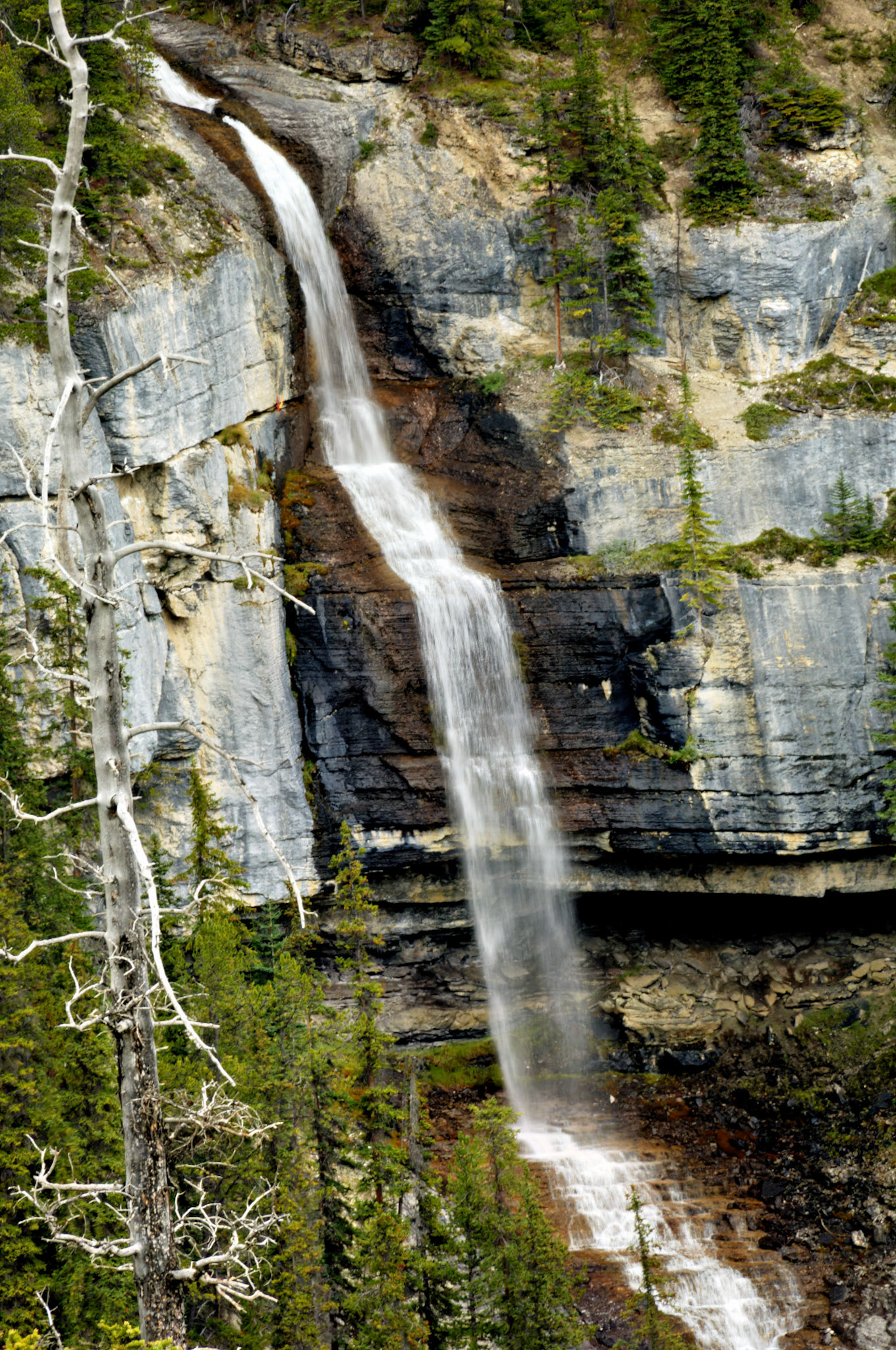 CN_20060802_0195_PS.dng