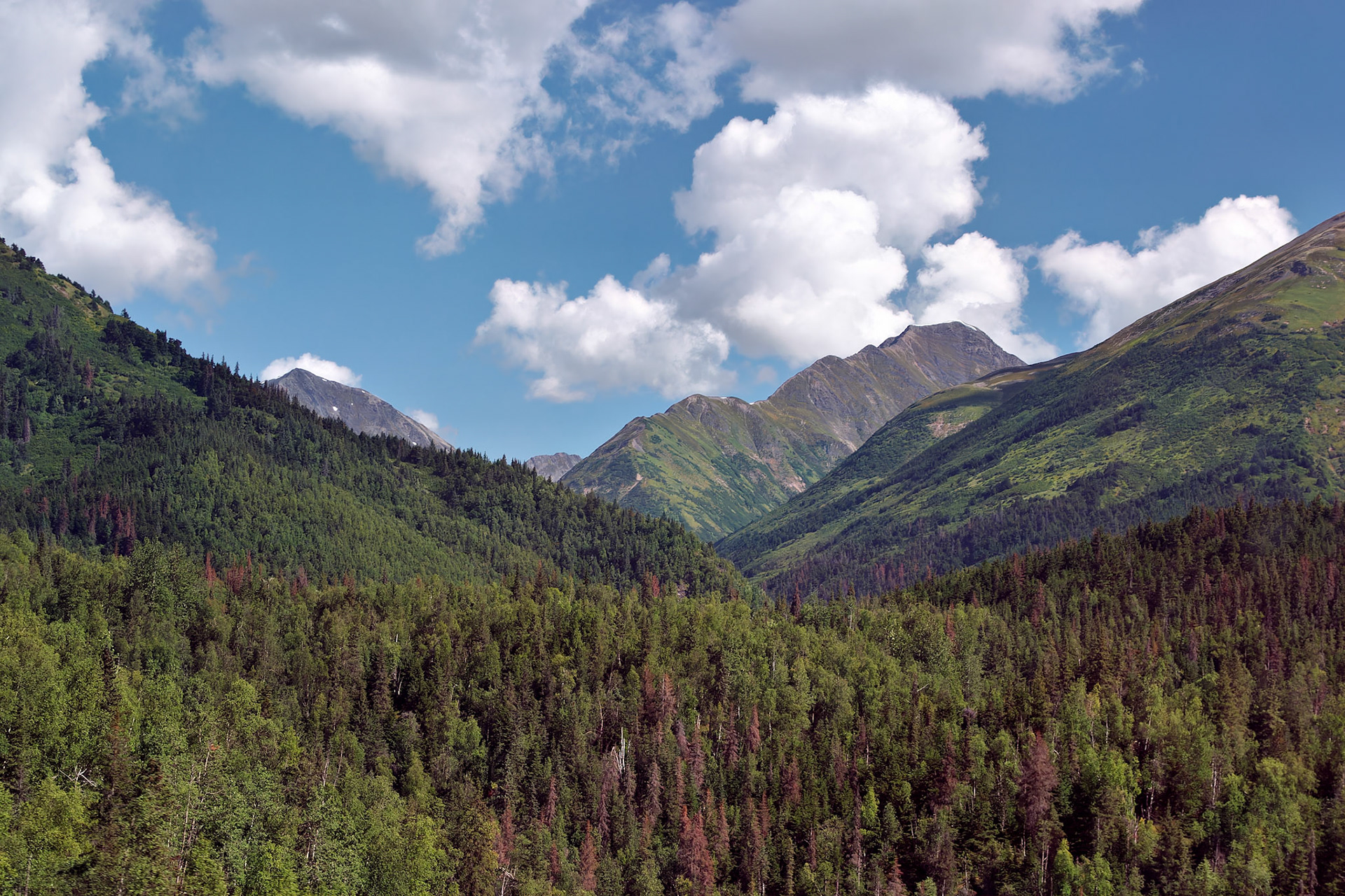 Alaska