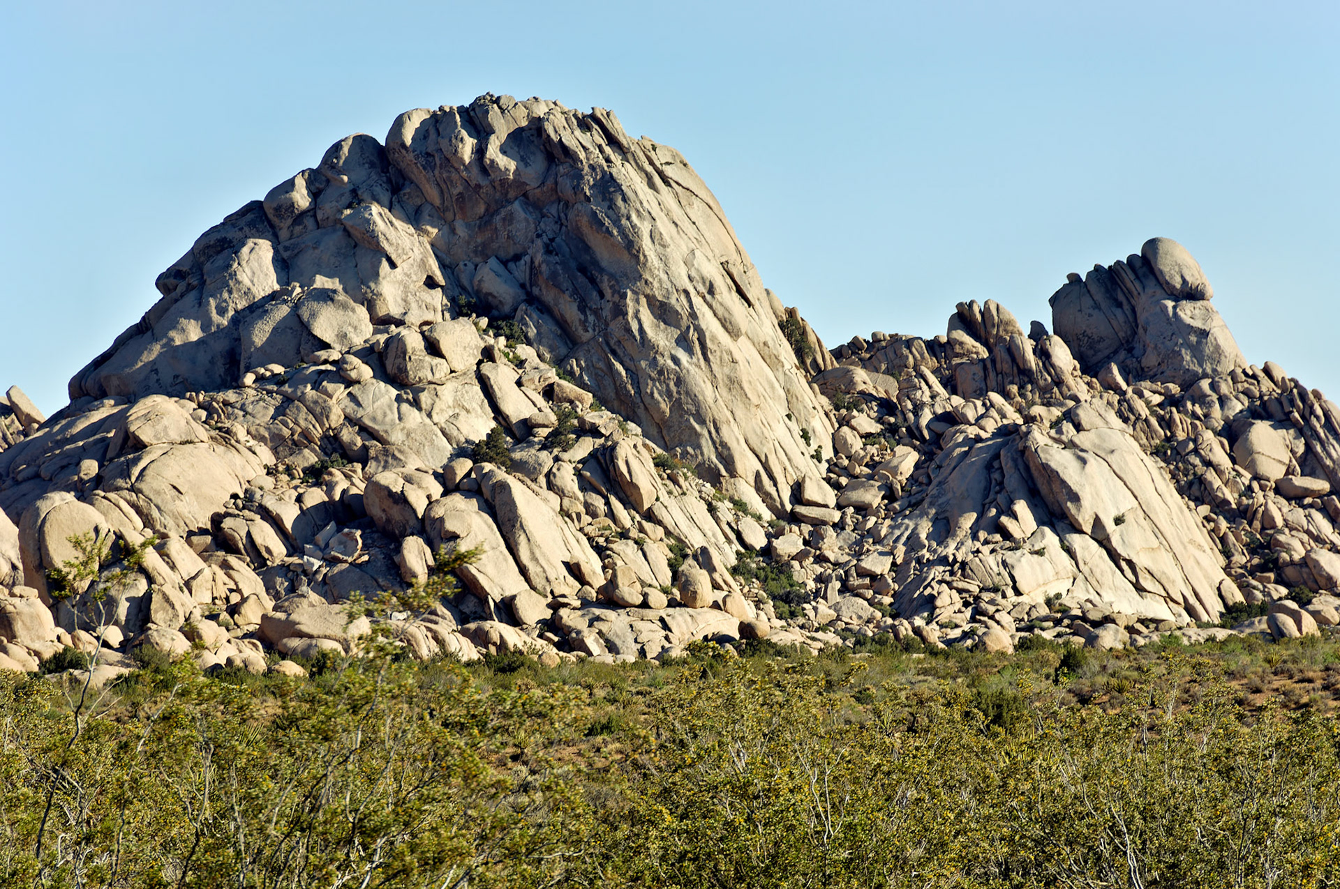 CA_20050614_0187_PS.dng