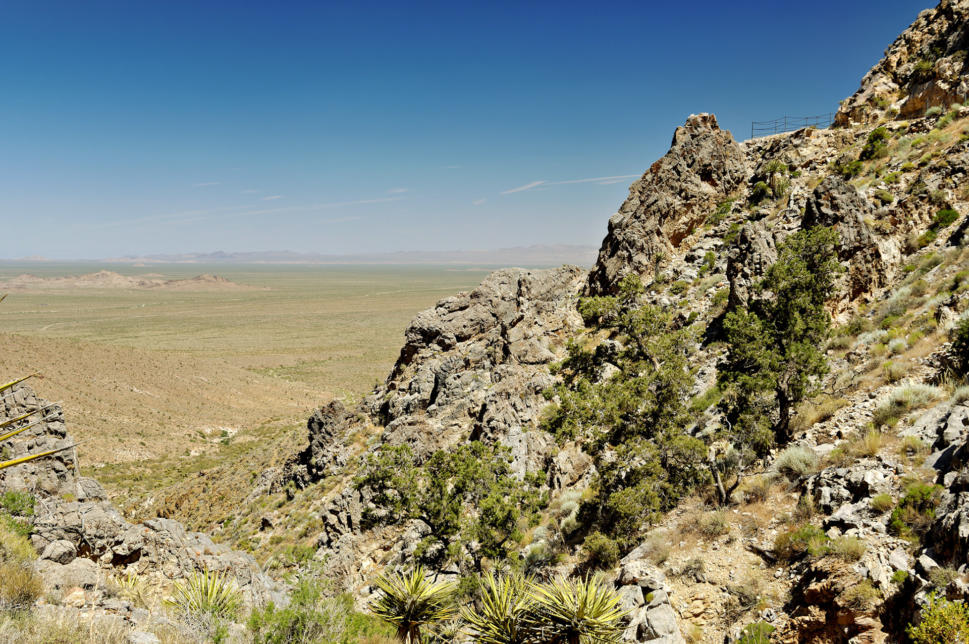 CA_20050614_0129_PS.dng