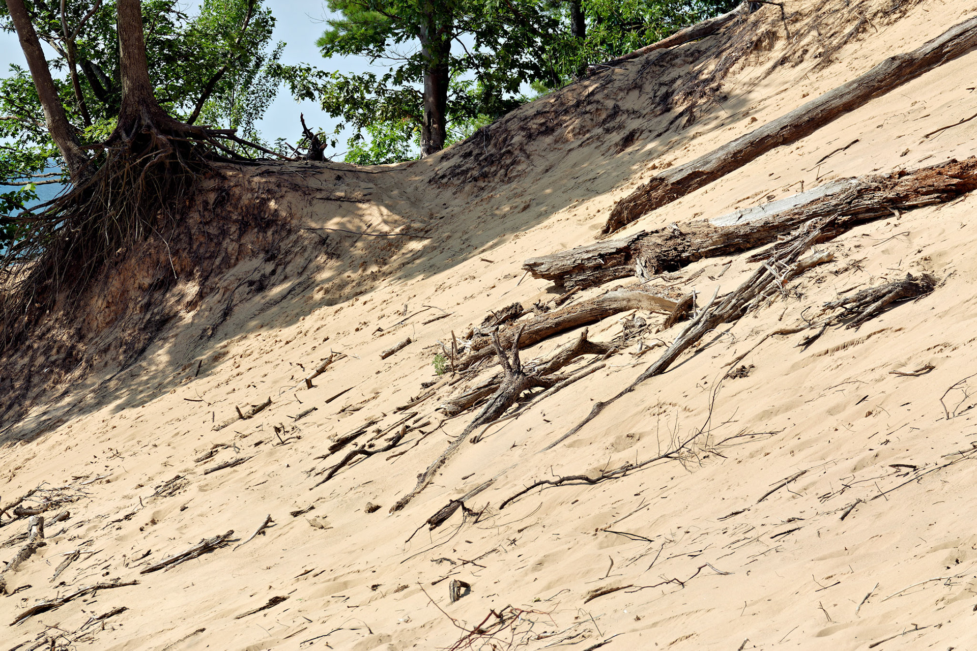 MI_New BuffaloArea_20170715_0262_PS.tif