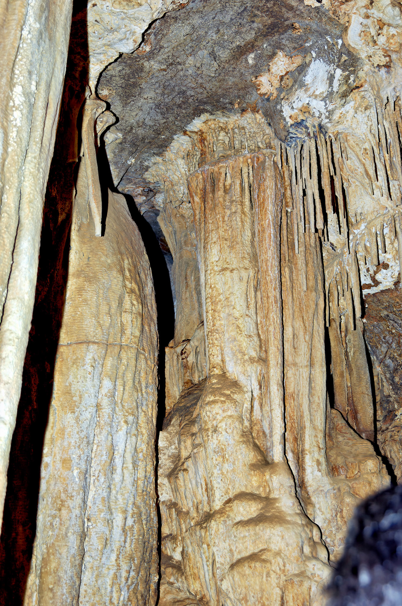 CA_20050614_0102_PS.dng