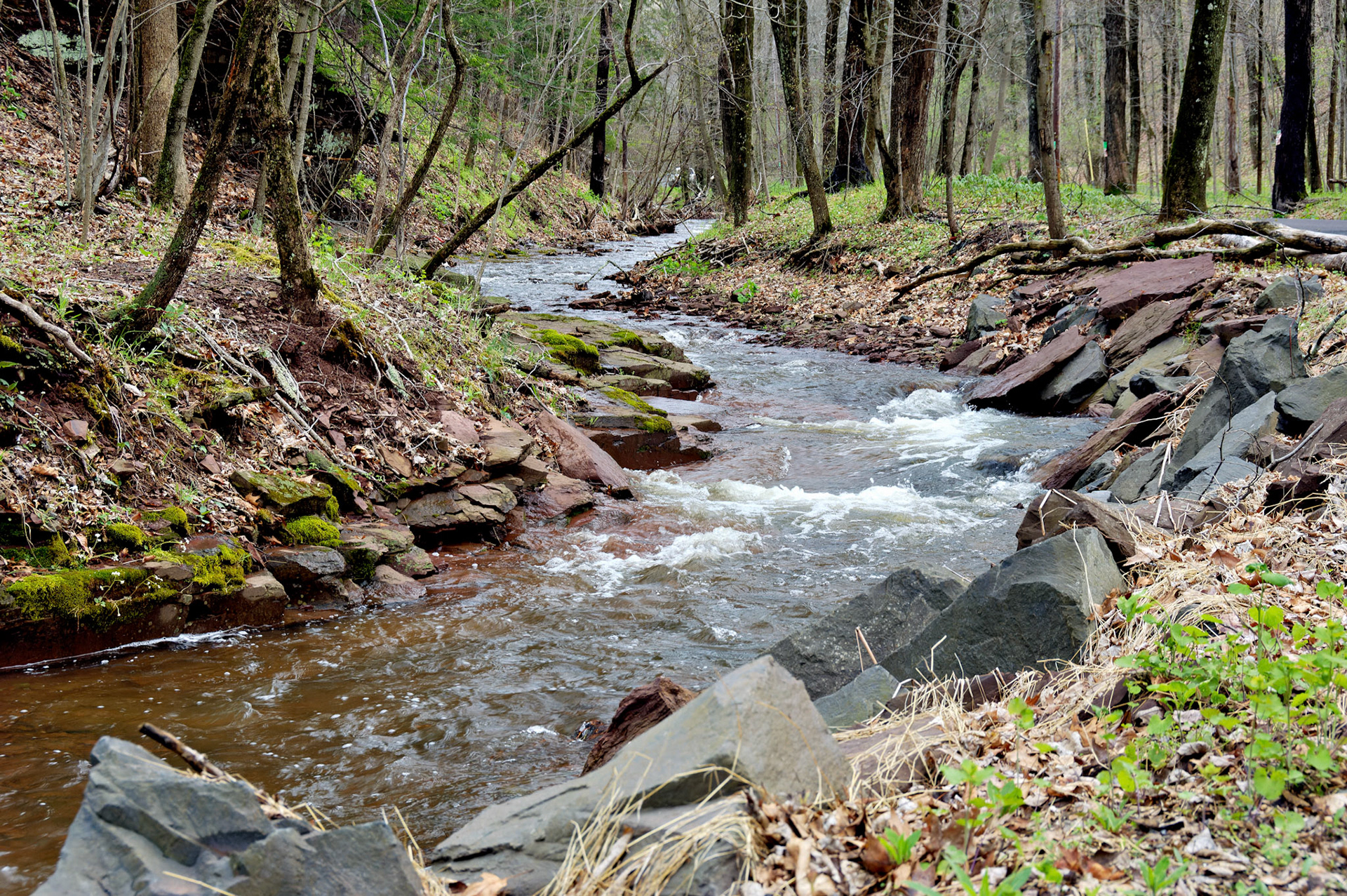 CT_20060423_0186_PS.dng