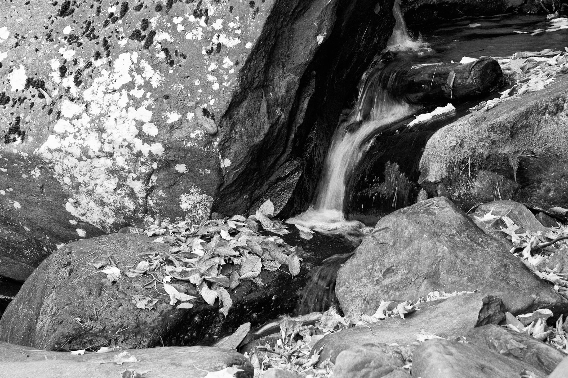 Black &amp; White 00130