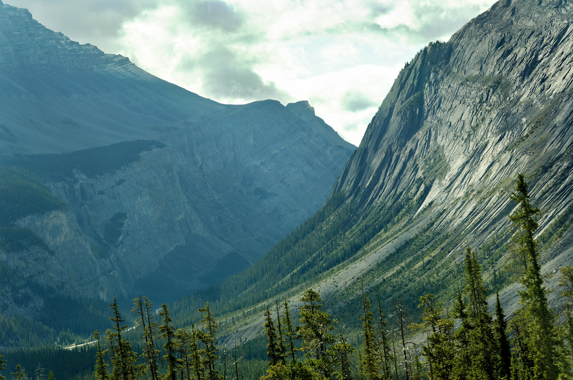 CN_20060802_0134_PS.dng