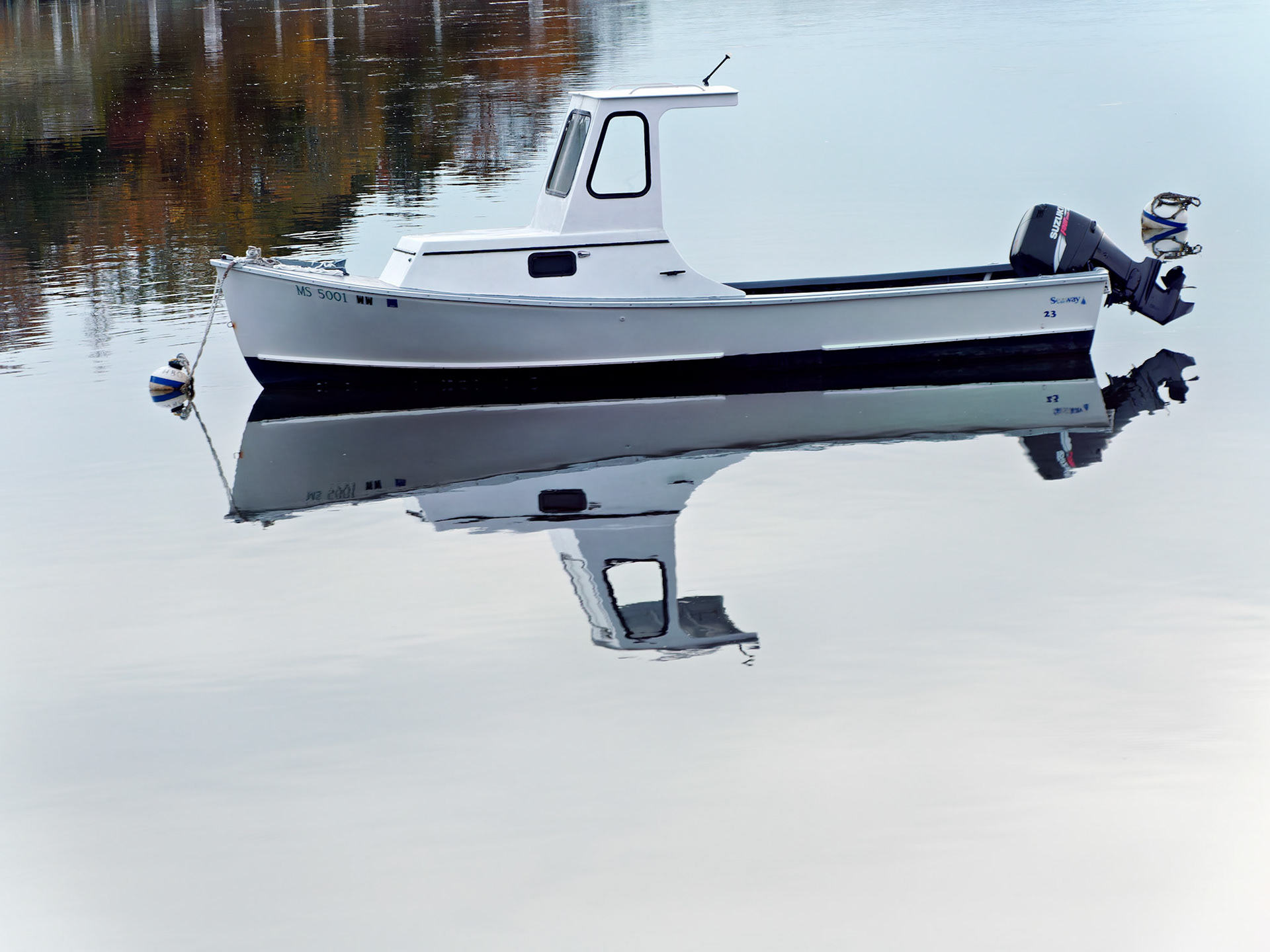 MA_CapeCod_20151027_0299_PS.dng