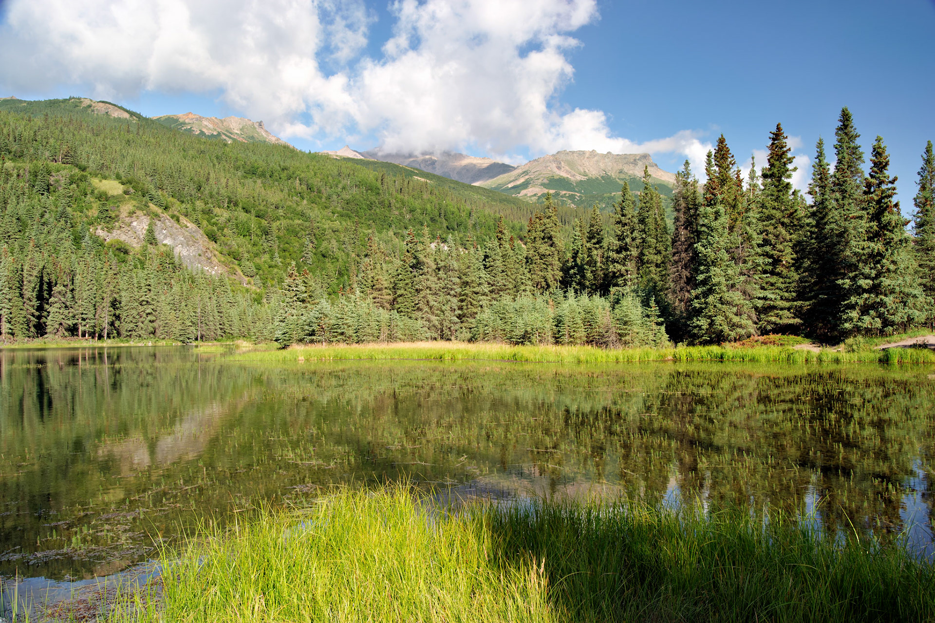 AK_20030808_0900_PS.dng