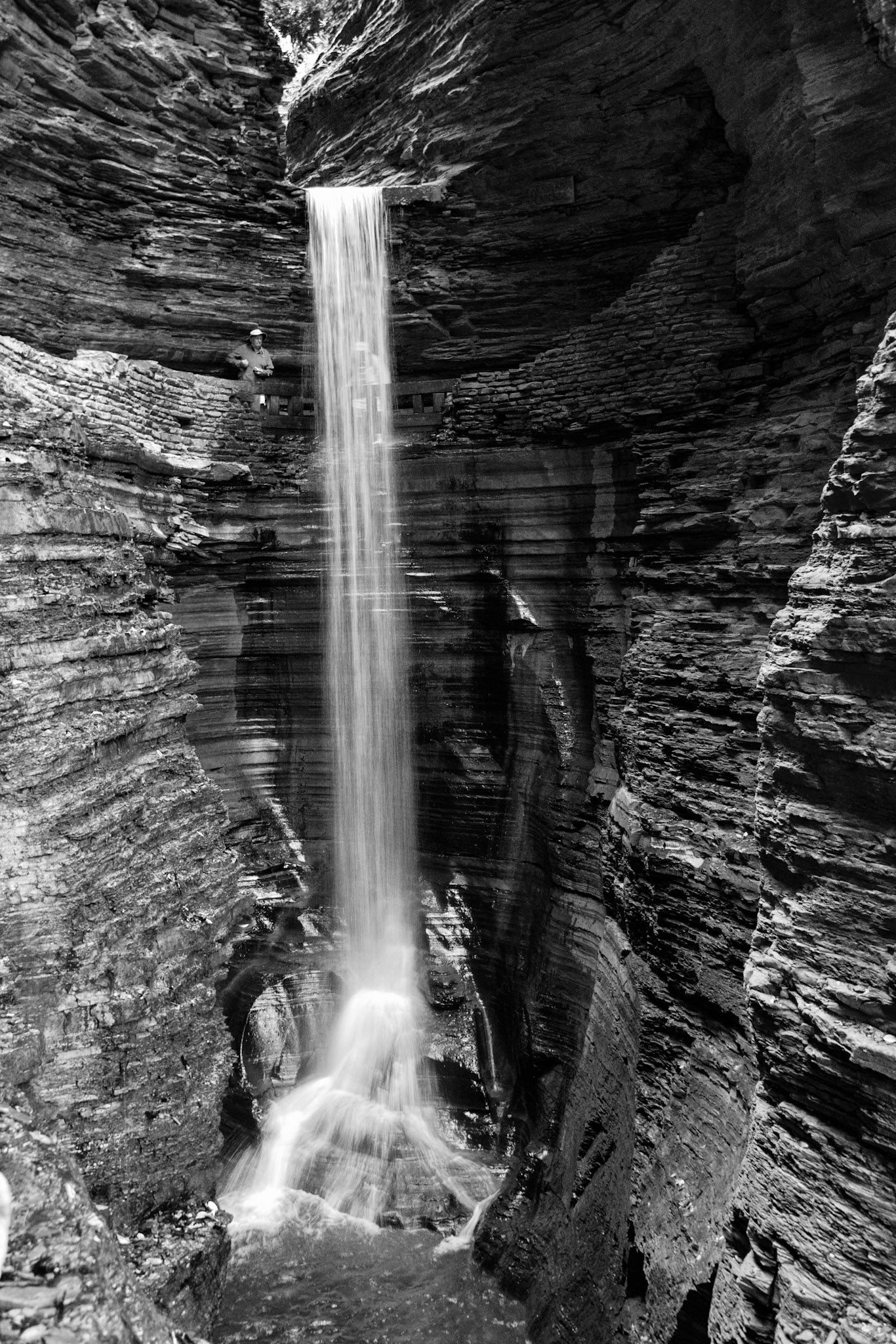 Black &amp; White 00221