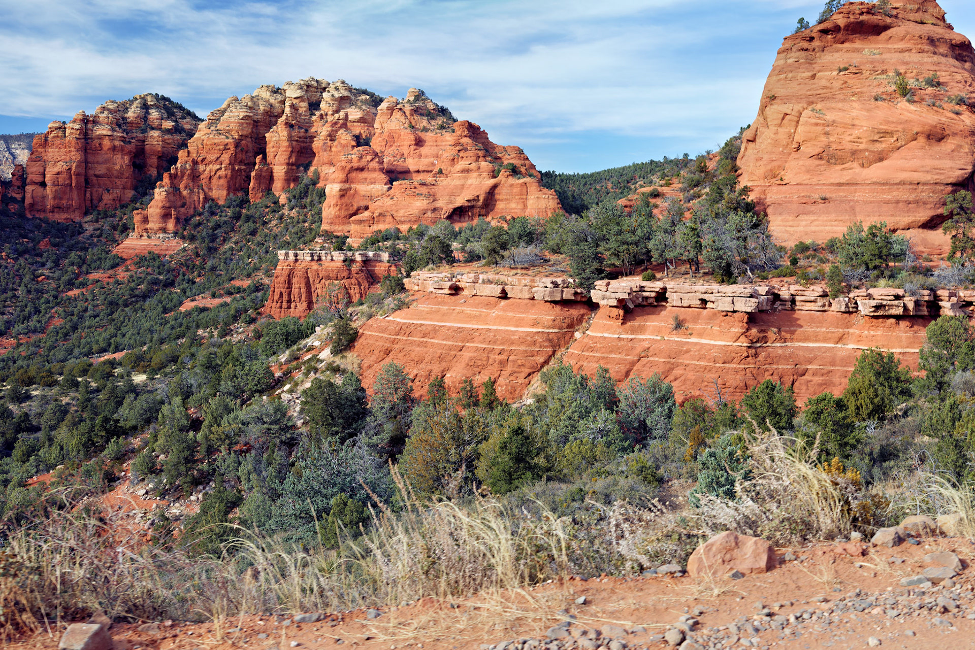AZ_20121211_0523_PS.dng