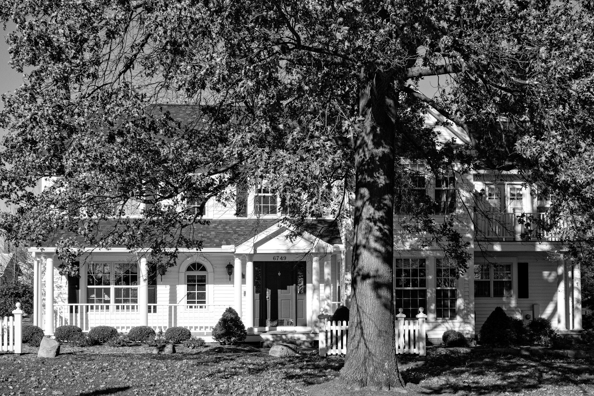 Black &amp; White 00149