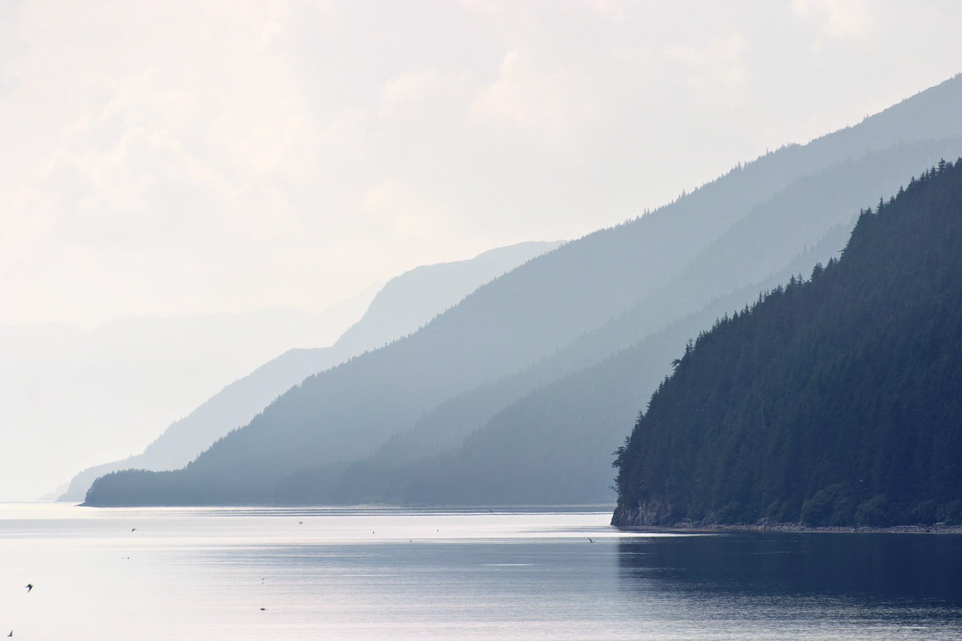 AK_20030802_0412_PS.dng