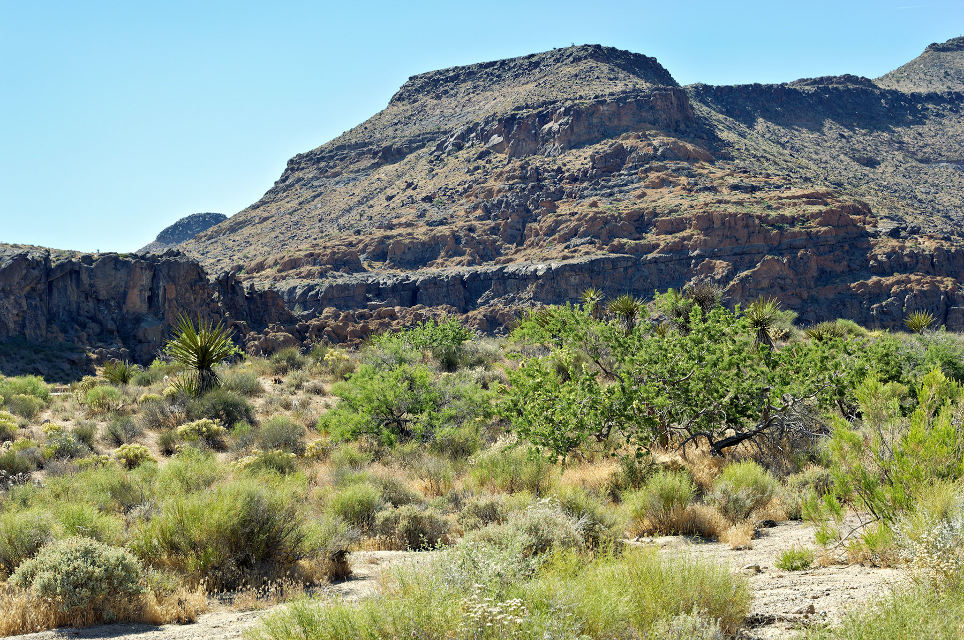 CA_20050614_0162_PS.dng