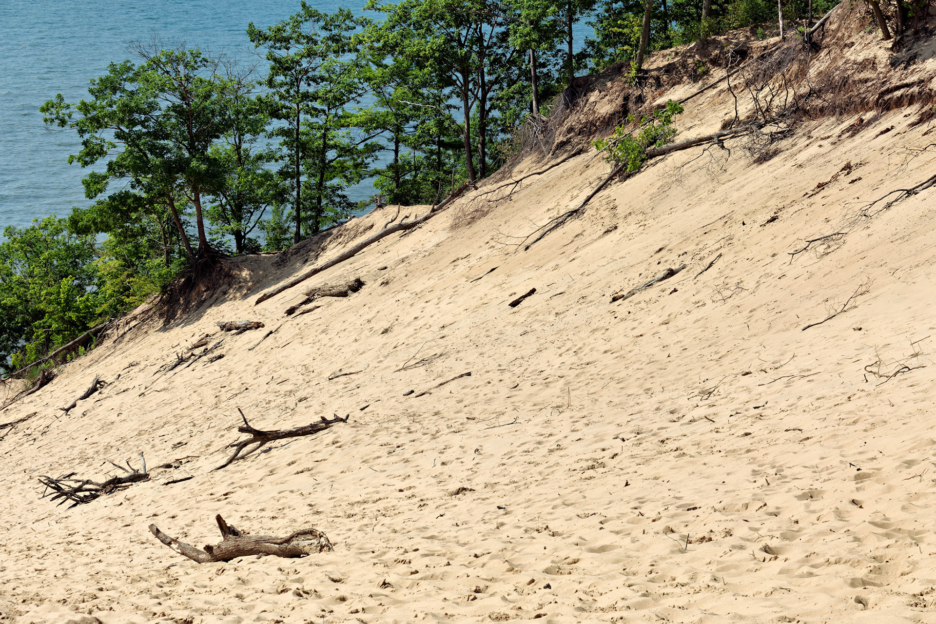 MI_New BuffaloArea_20170715_0245_PS.tif