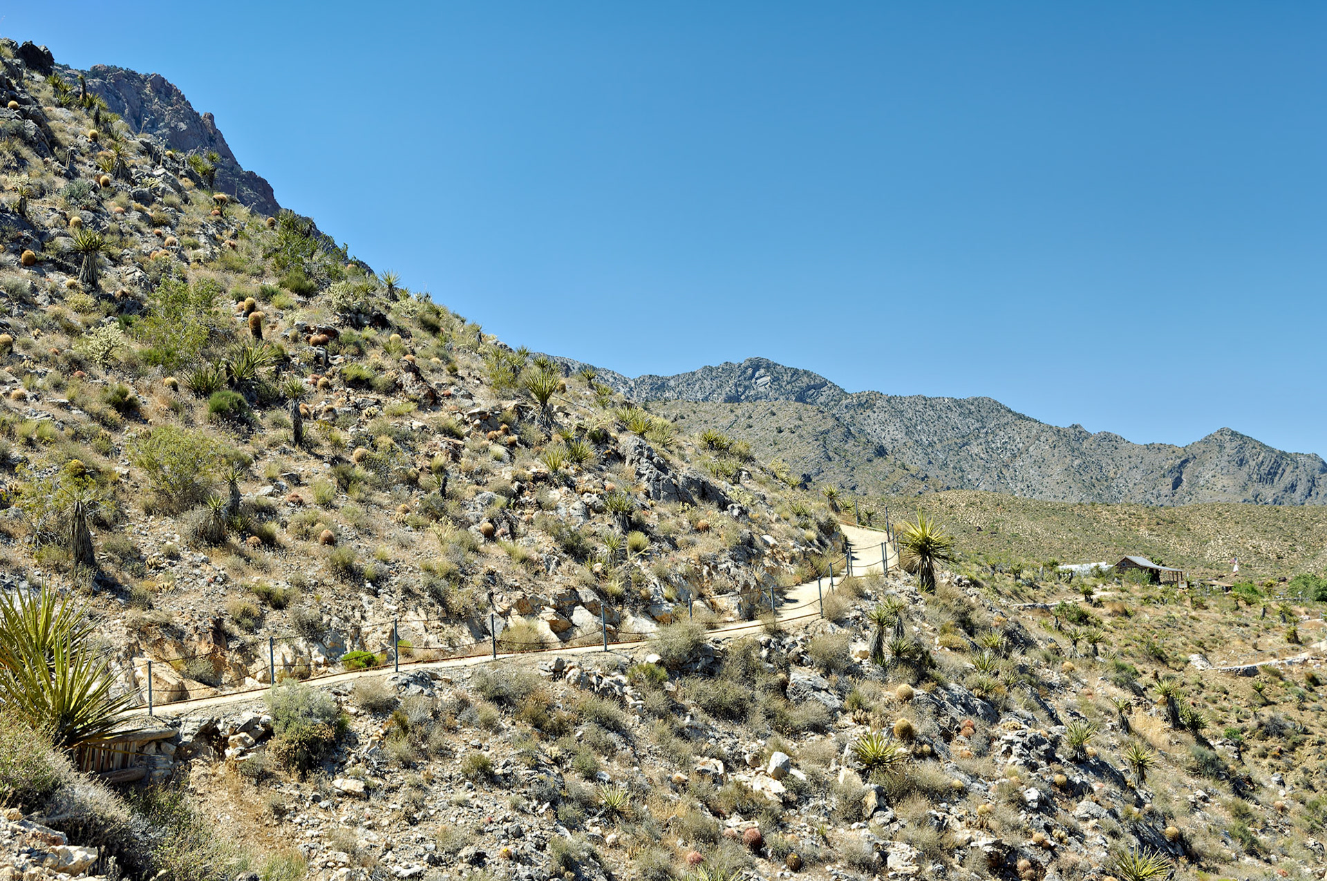 CA_20050614_0145_PS.dng