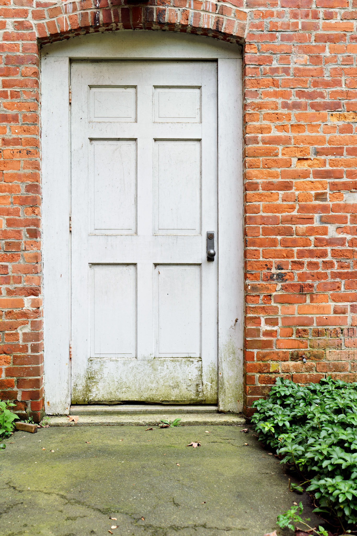 CT_20141017_0439_PS.dng