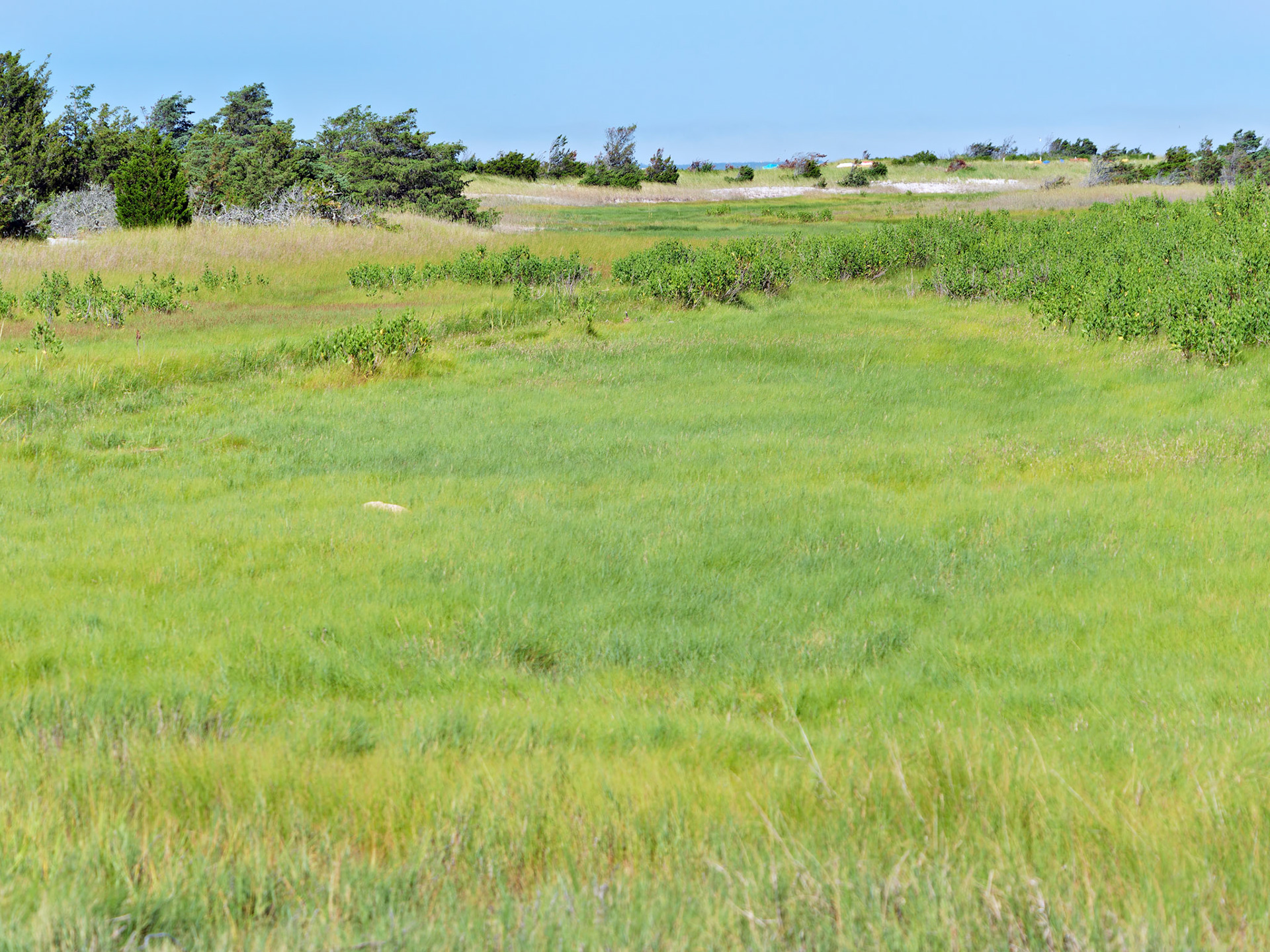MA_CapeCod_20180724_0378_PS.dng