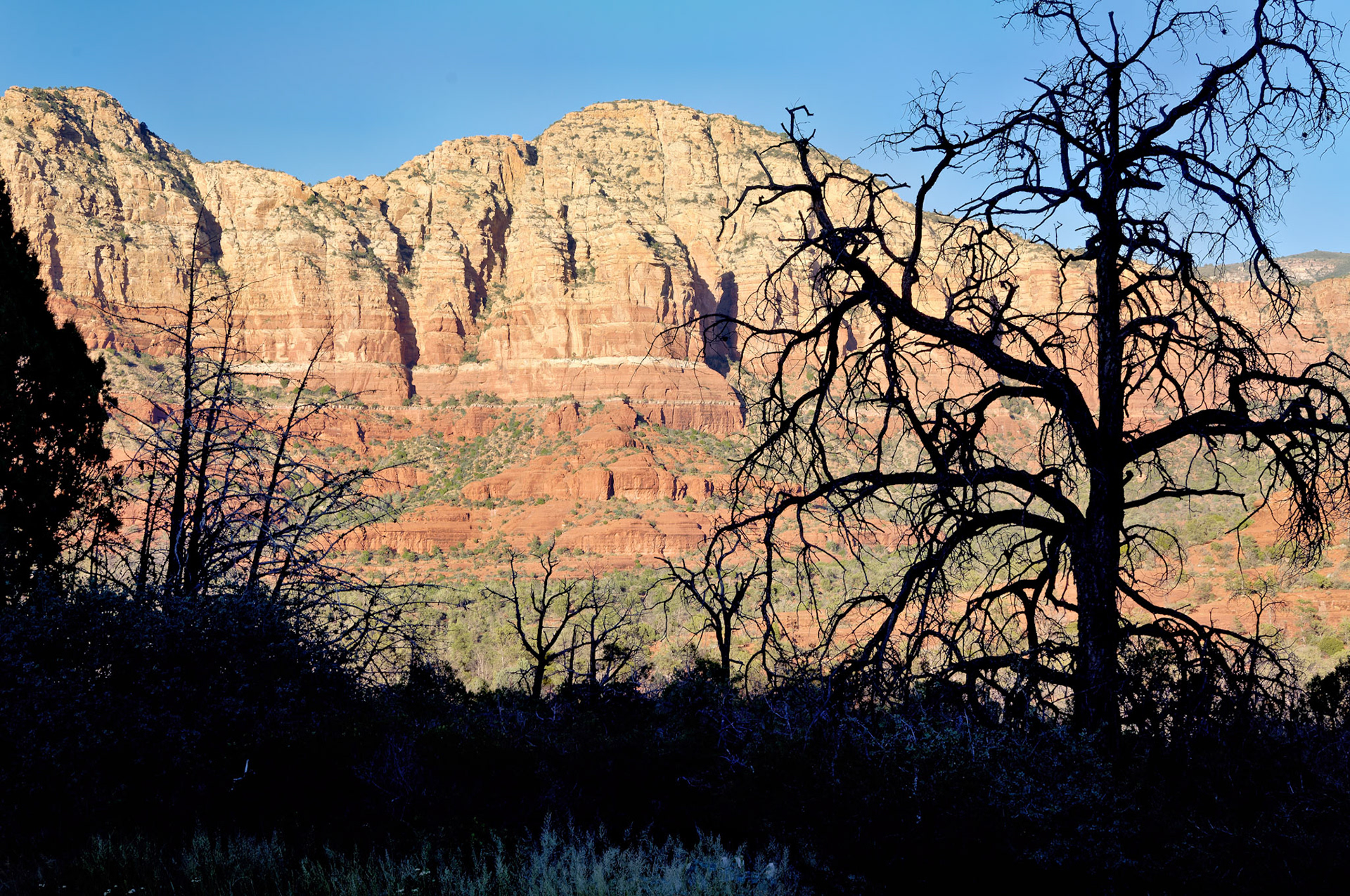 AZ_20060917_0136_PS.dng