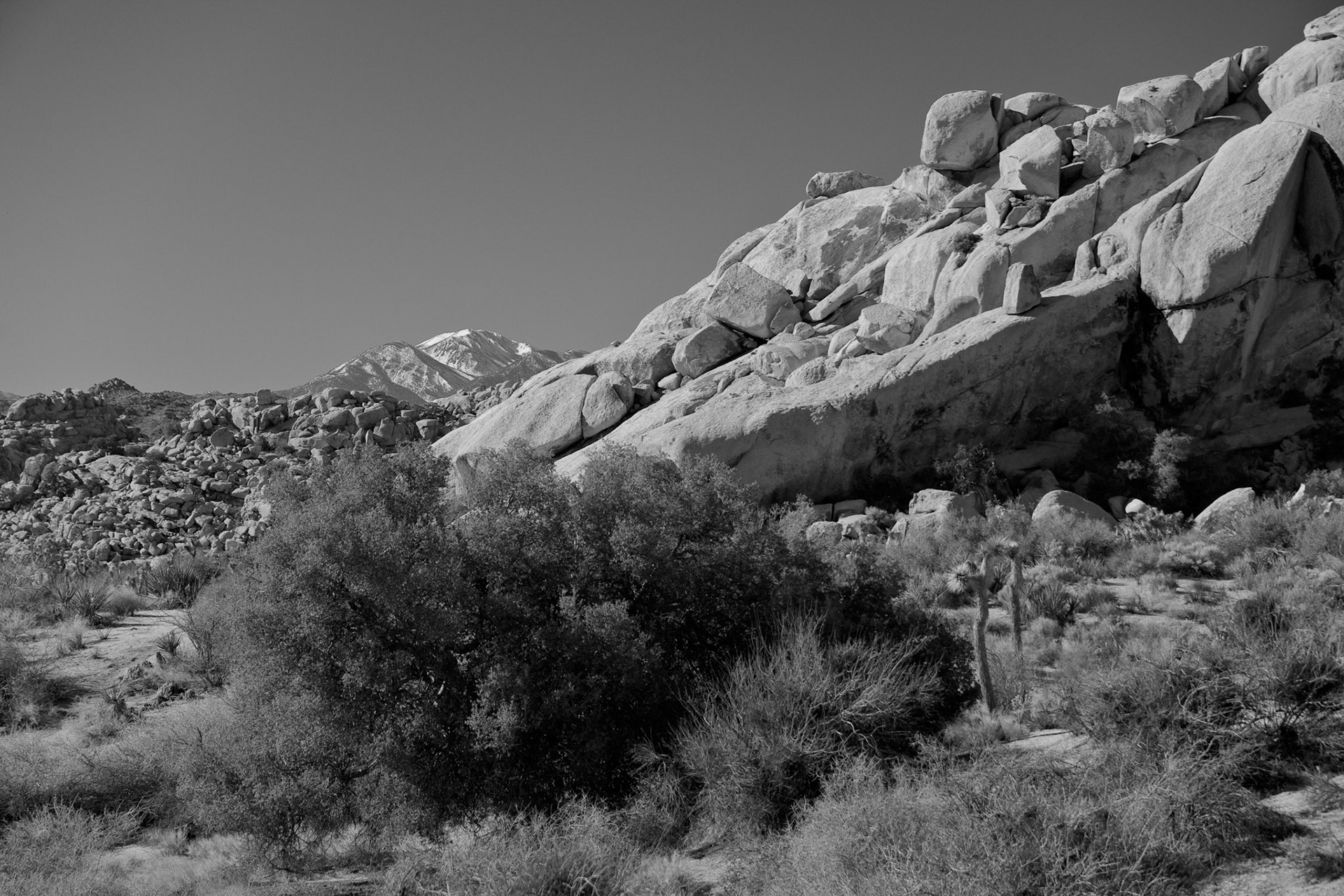 Black &amp; White Photos