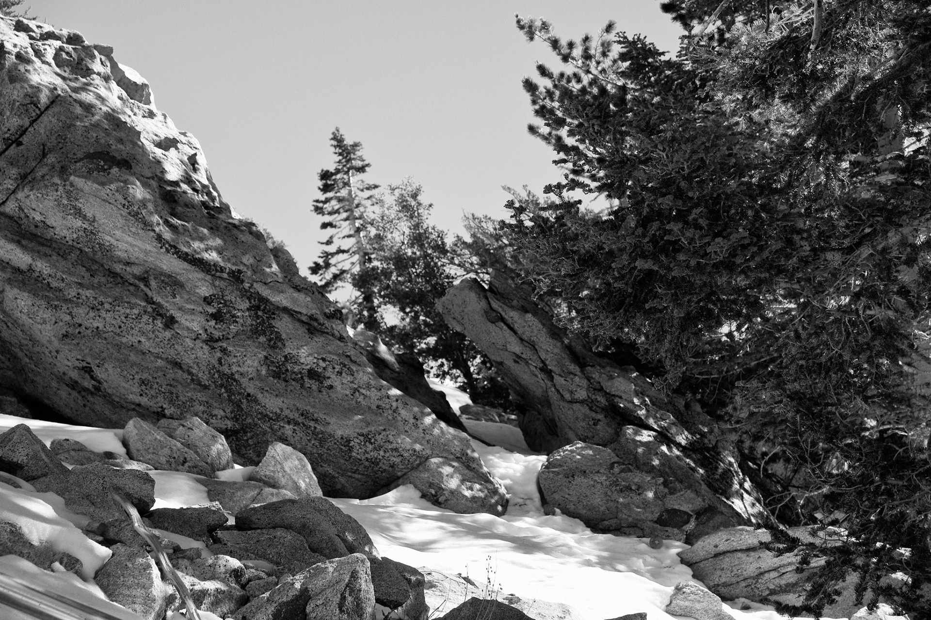 Black &amp; White 00091