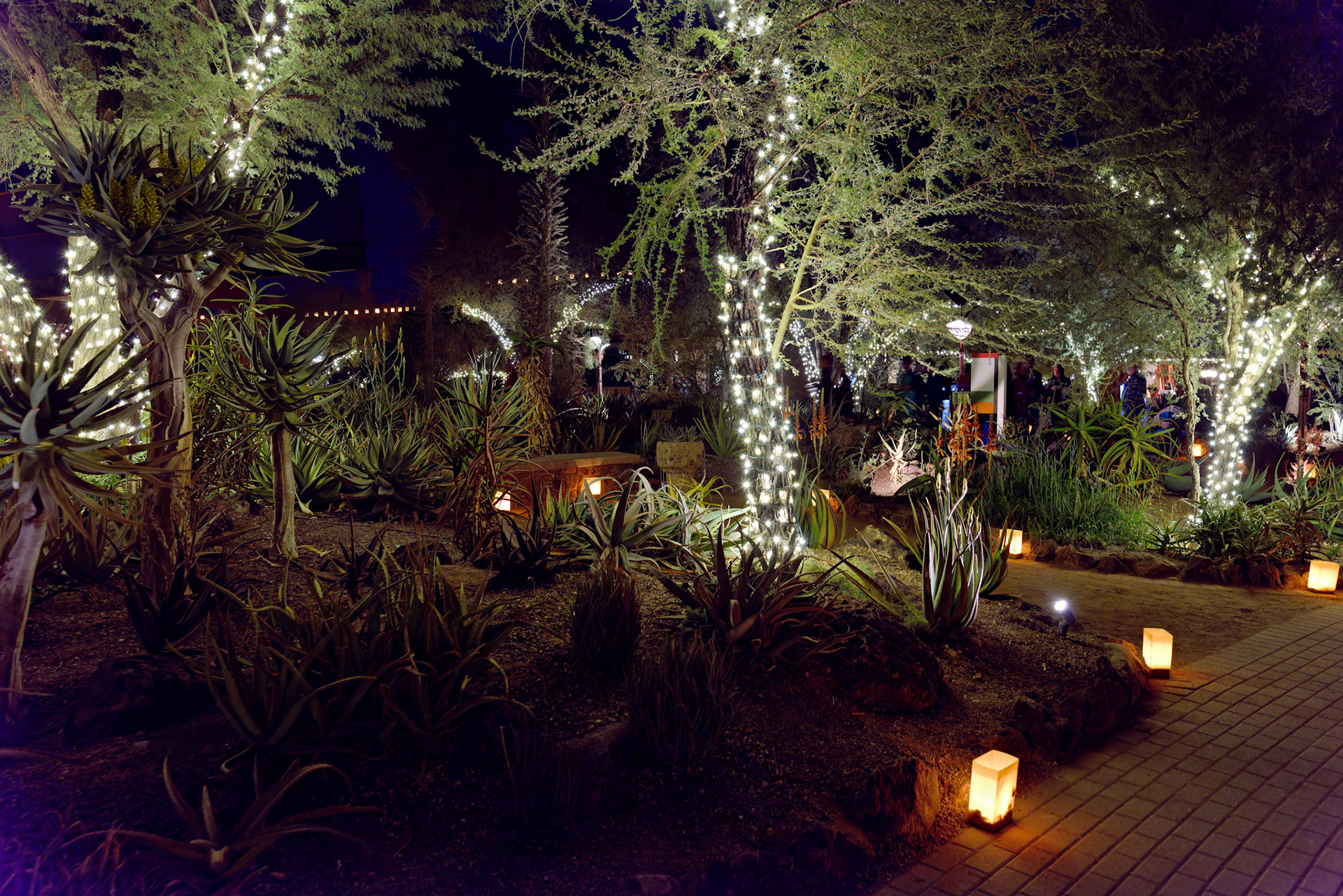 AZ_20121209_0277_PS.dng