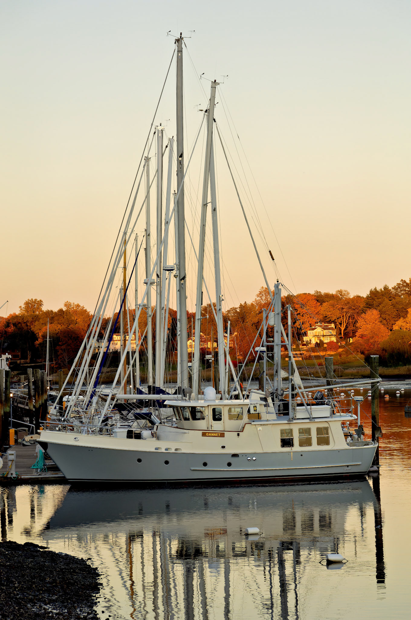 CT_20051102_0078_PS.dng