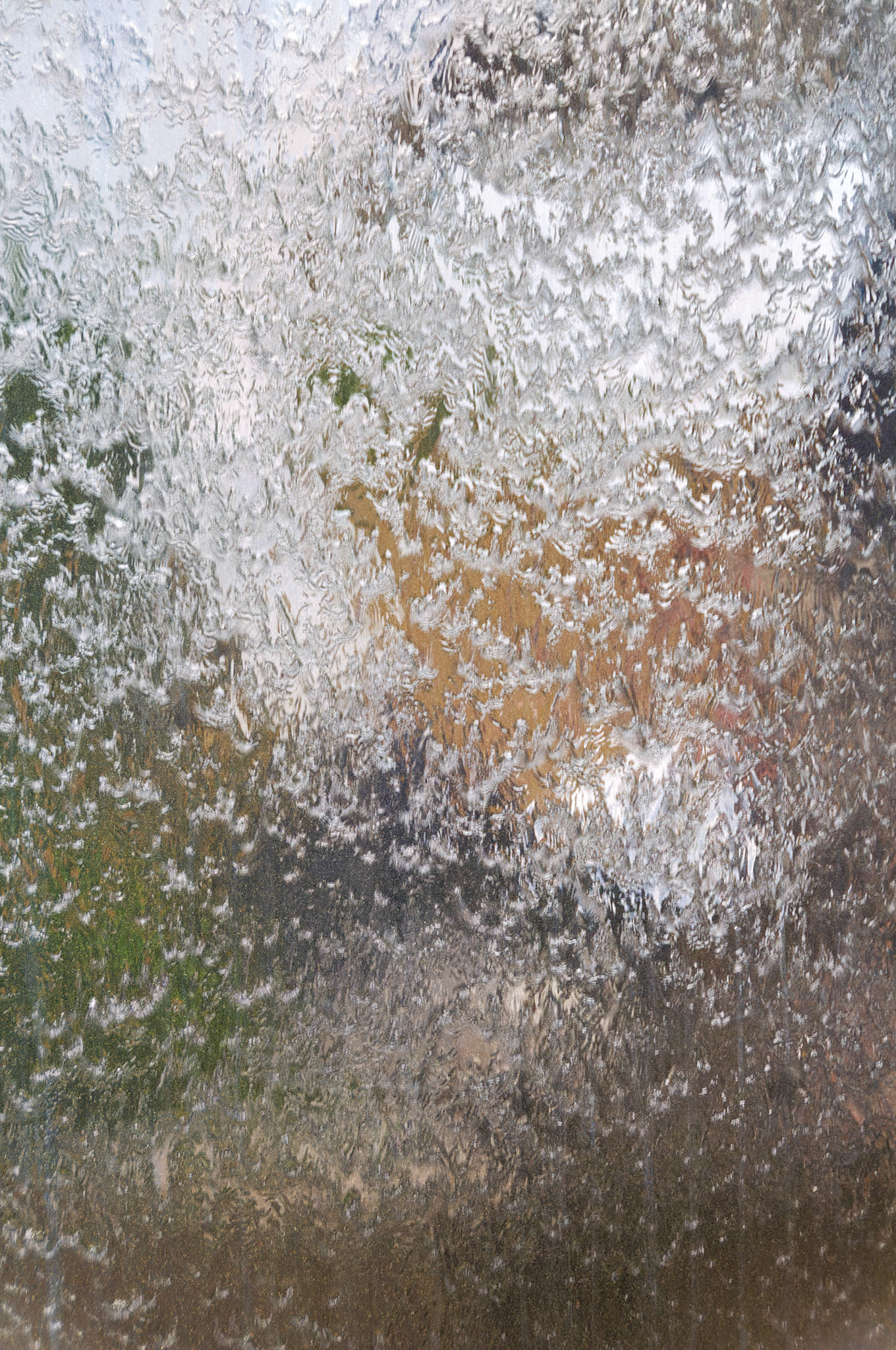 PA_GroundsForSculpture_20080814_0138_PS.dng