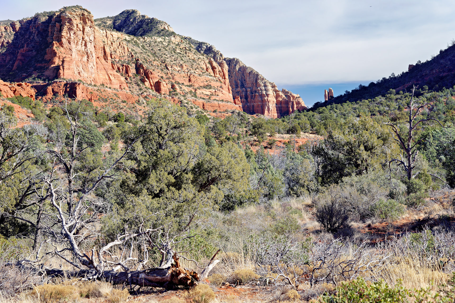 AZ_20121211_0603_PS.dng