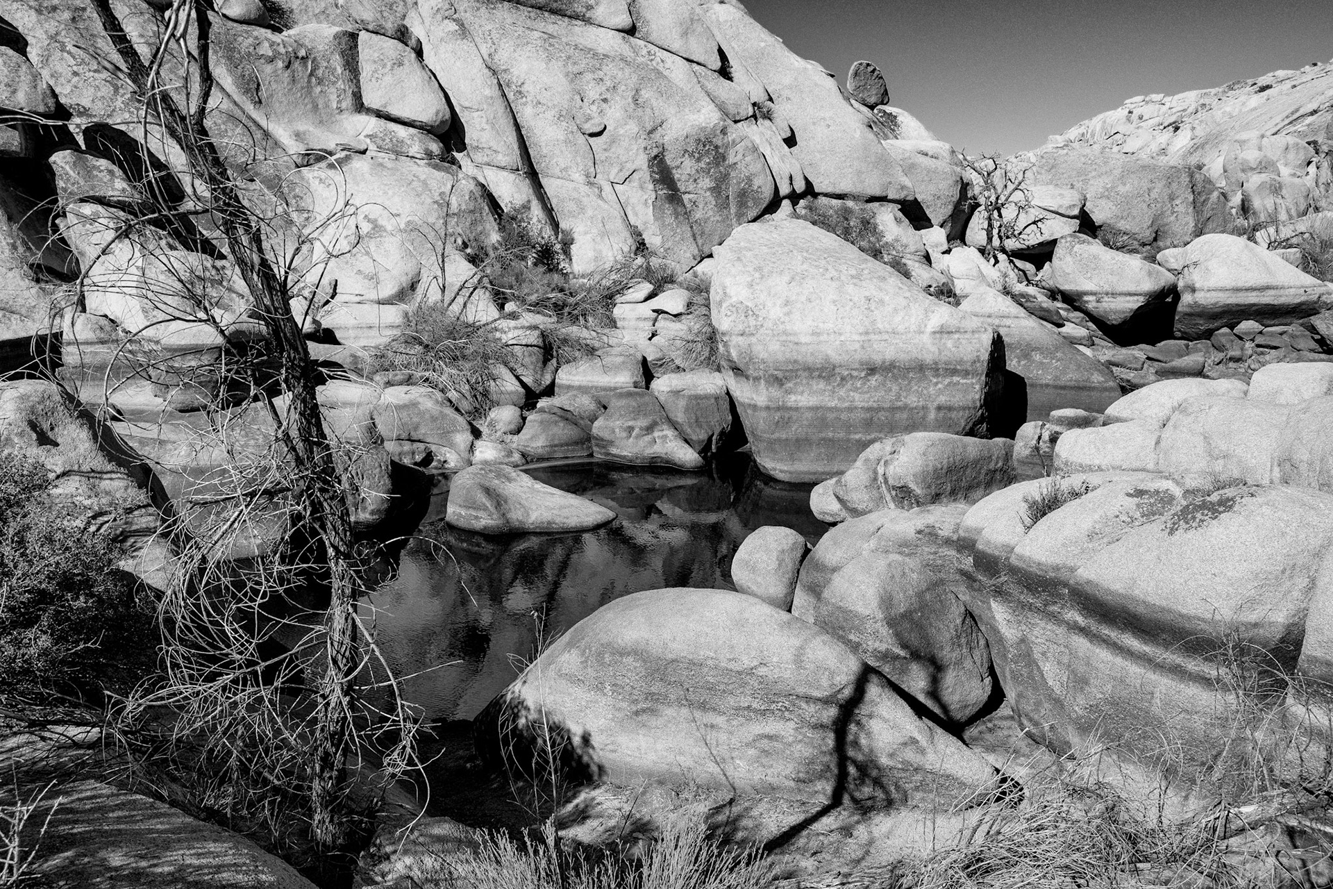 Black &amp; White 00105