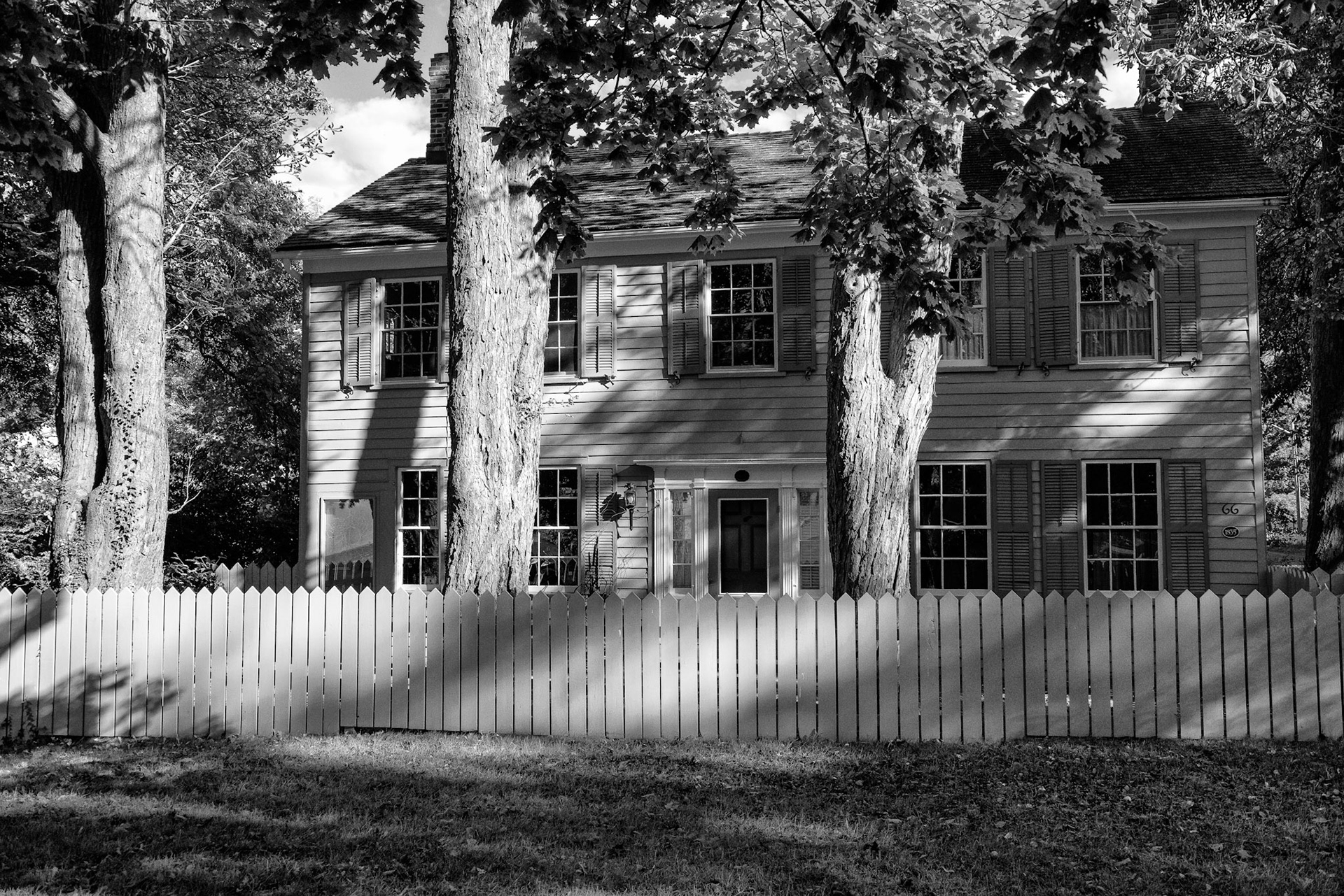 Black &amp; White 00215