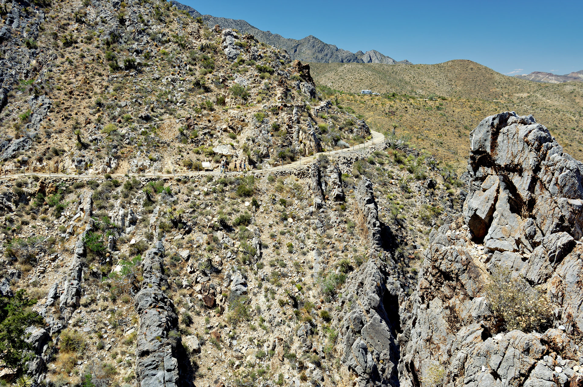 CA_20050614_0118_PS.dng