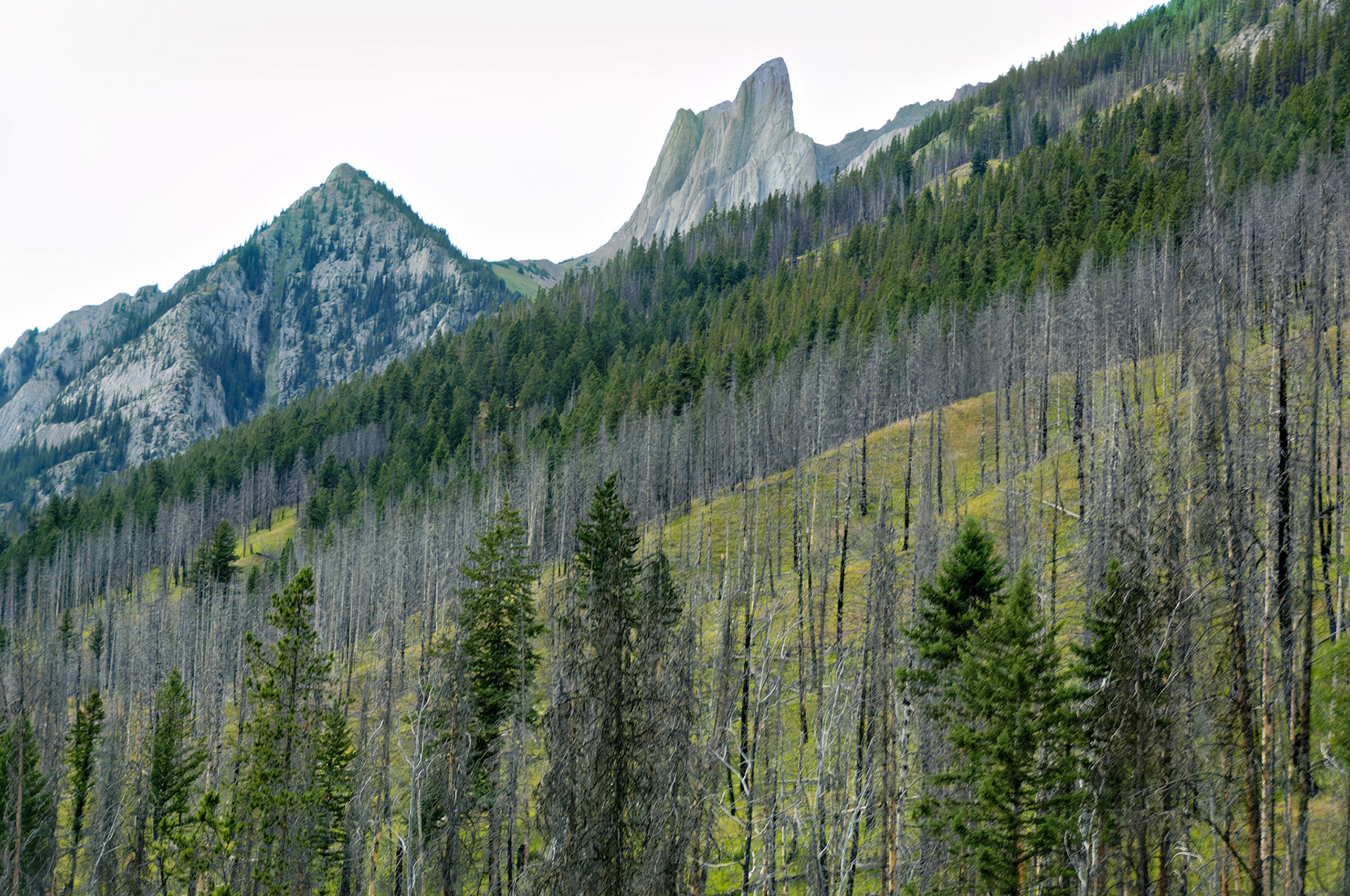 CN_20060731_0027_PS.dng