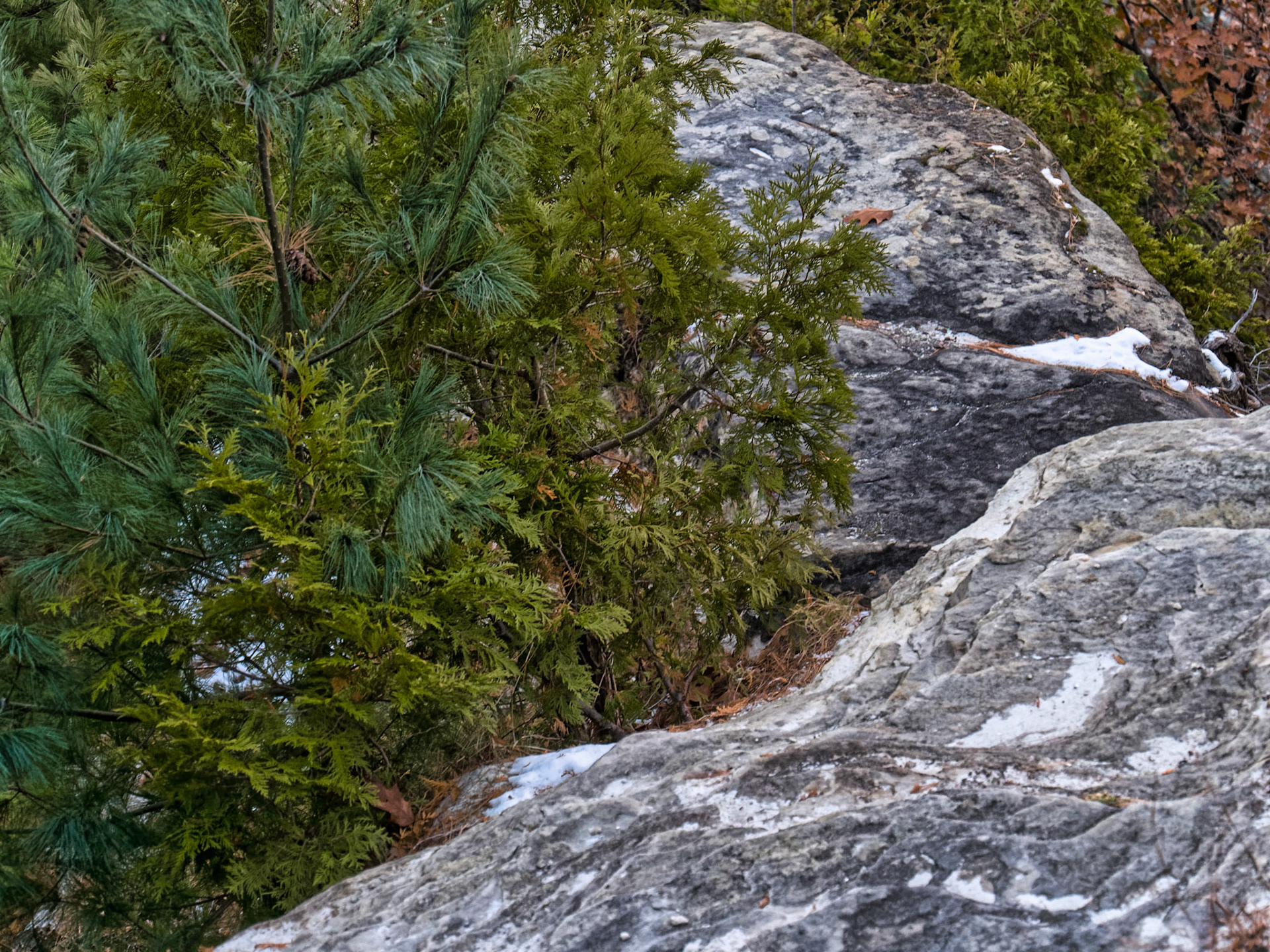 IL Starved Rock 00084