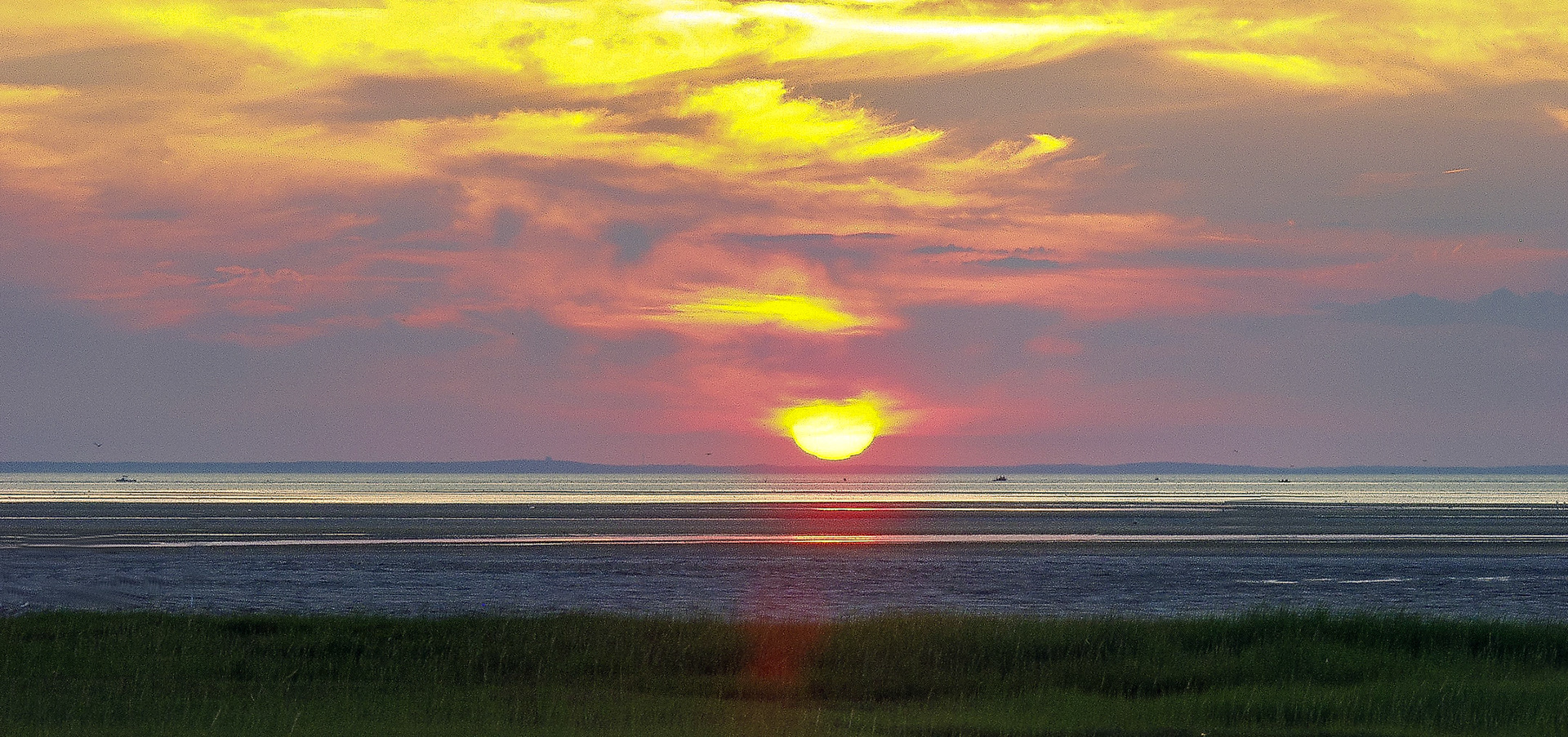 MA_CapeCod_20210212_0468_PS.dng