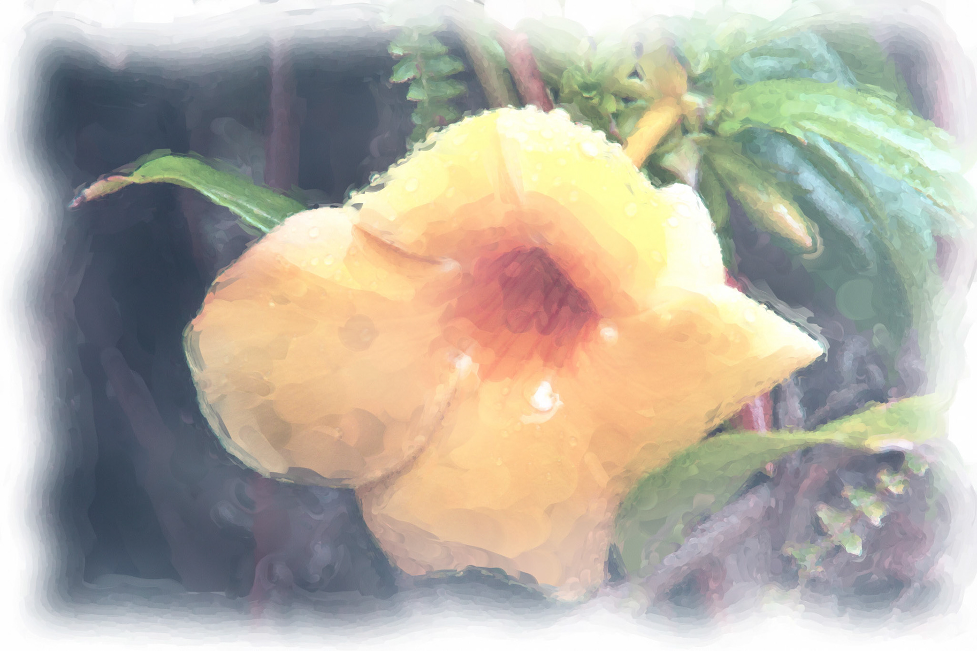Paintings 00169