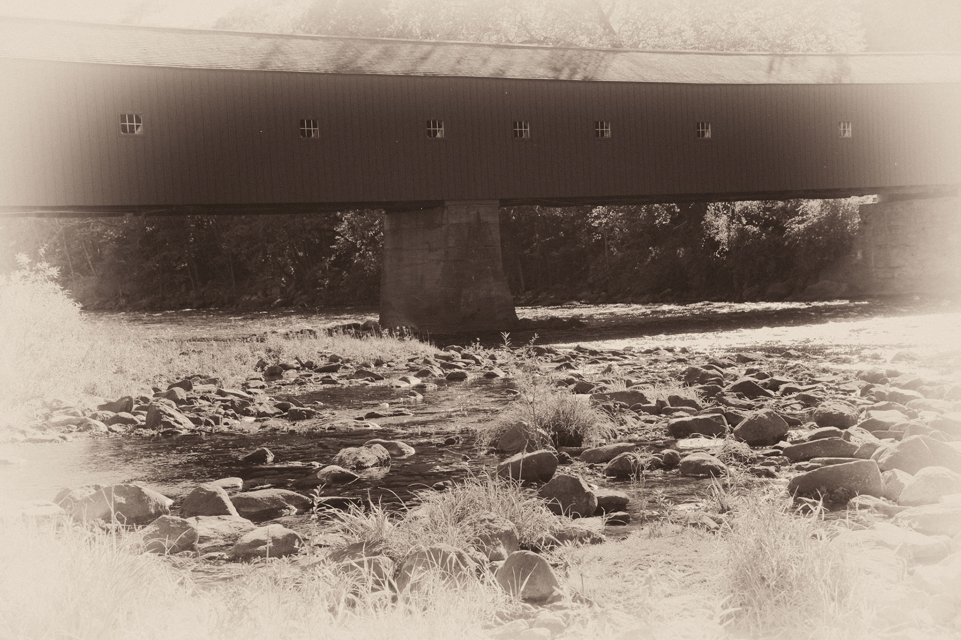 Black &amp; White Photos