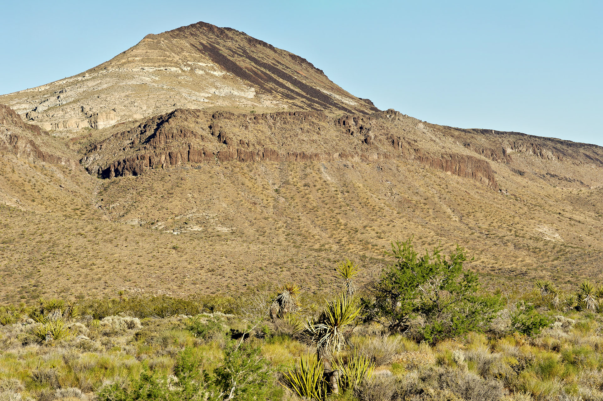 CA_20050614_0201_PS.dng